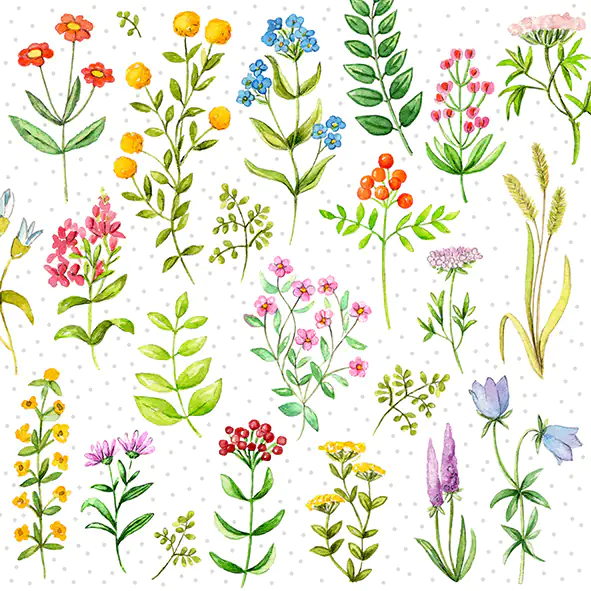 Braun & Company Servietten bunt 33 x 33 cm - 20er Pack