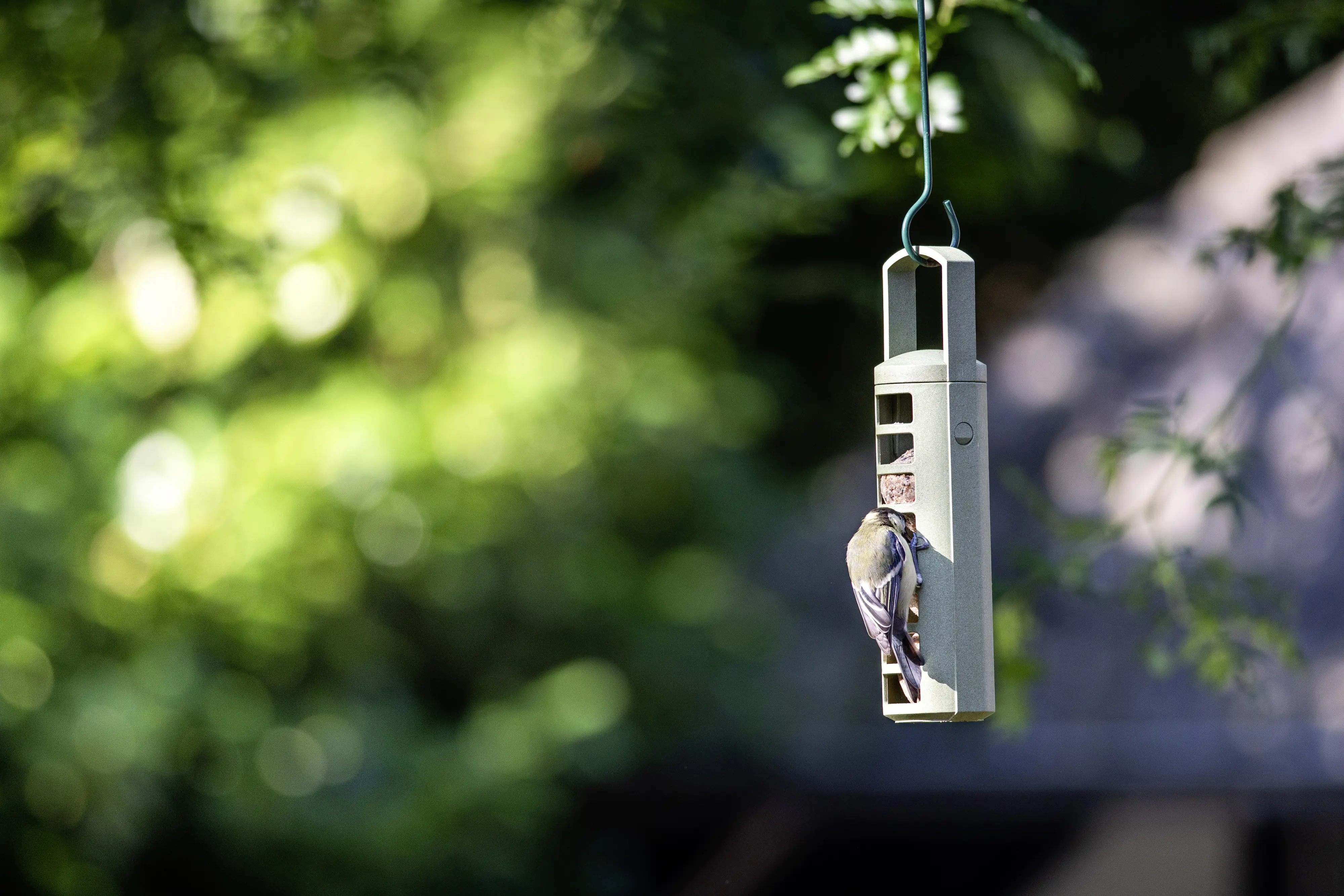 CJ Wildbird Meisenknödelhalter für Wildvögel CJ Wildbird Meisenknödelhalter für Wildvögel