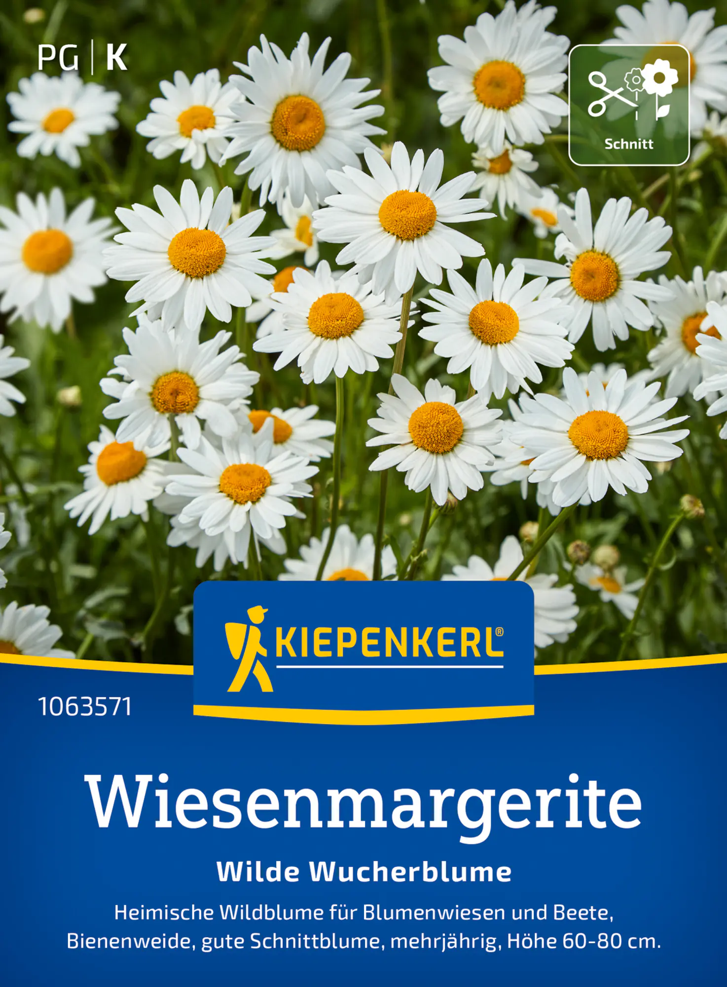 Kiepenkerl Blumensamen Wiesenmargeriten Wilde Wucherblume für ca. 300 Pflanzen