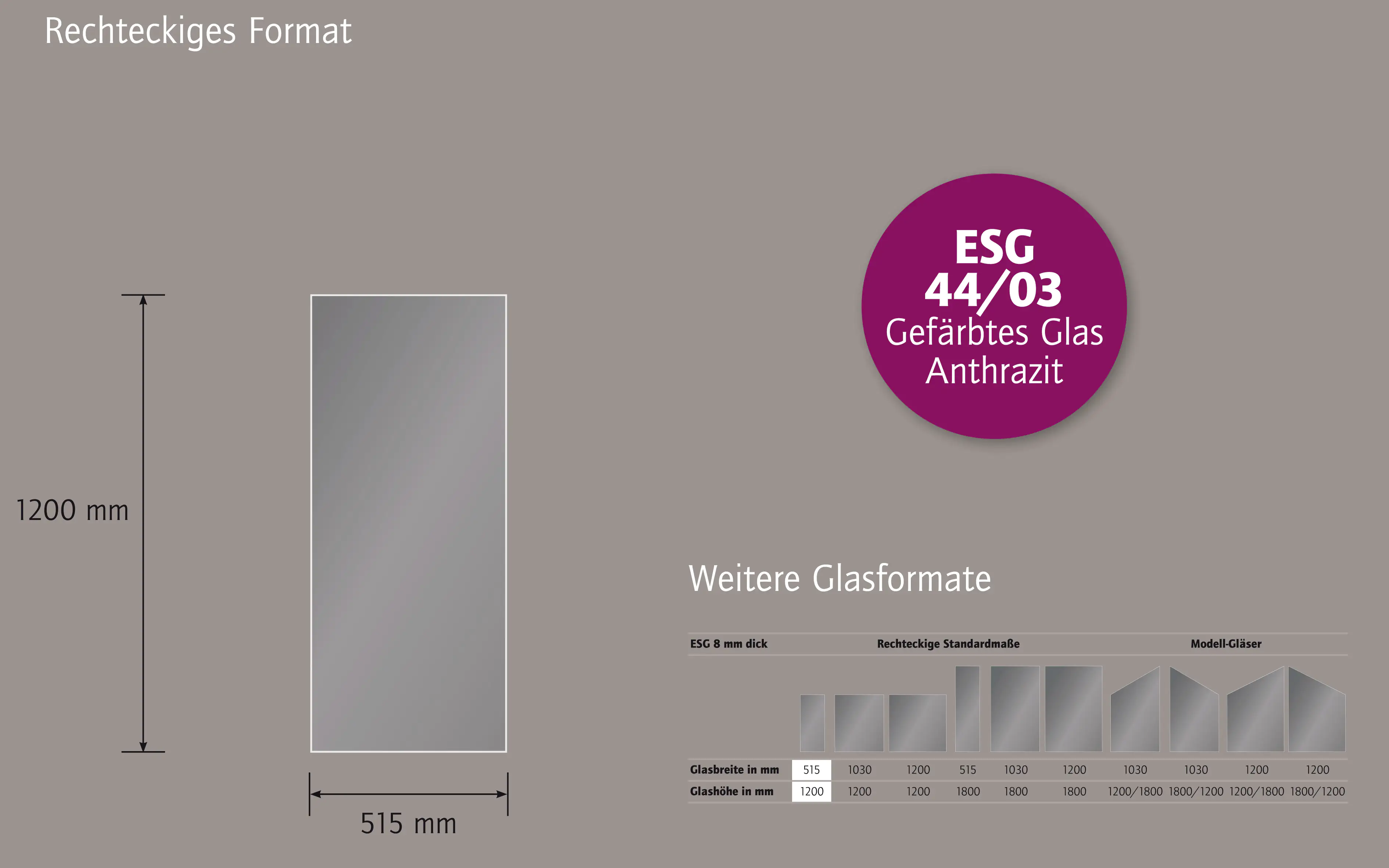 Ambiente Glaszaun Dekor 44/03 51,5 x 120 cm gehärtetes 8 mm Glas Ambiente Glaszaun Dekor 44/03 51,5 x 120 cm gehärtetes 8 mm Glas