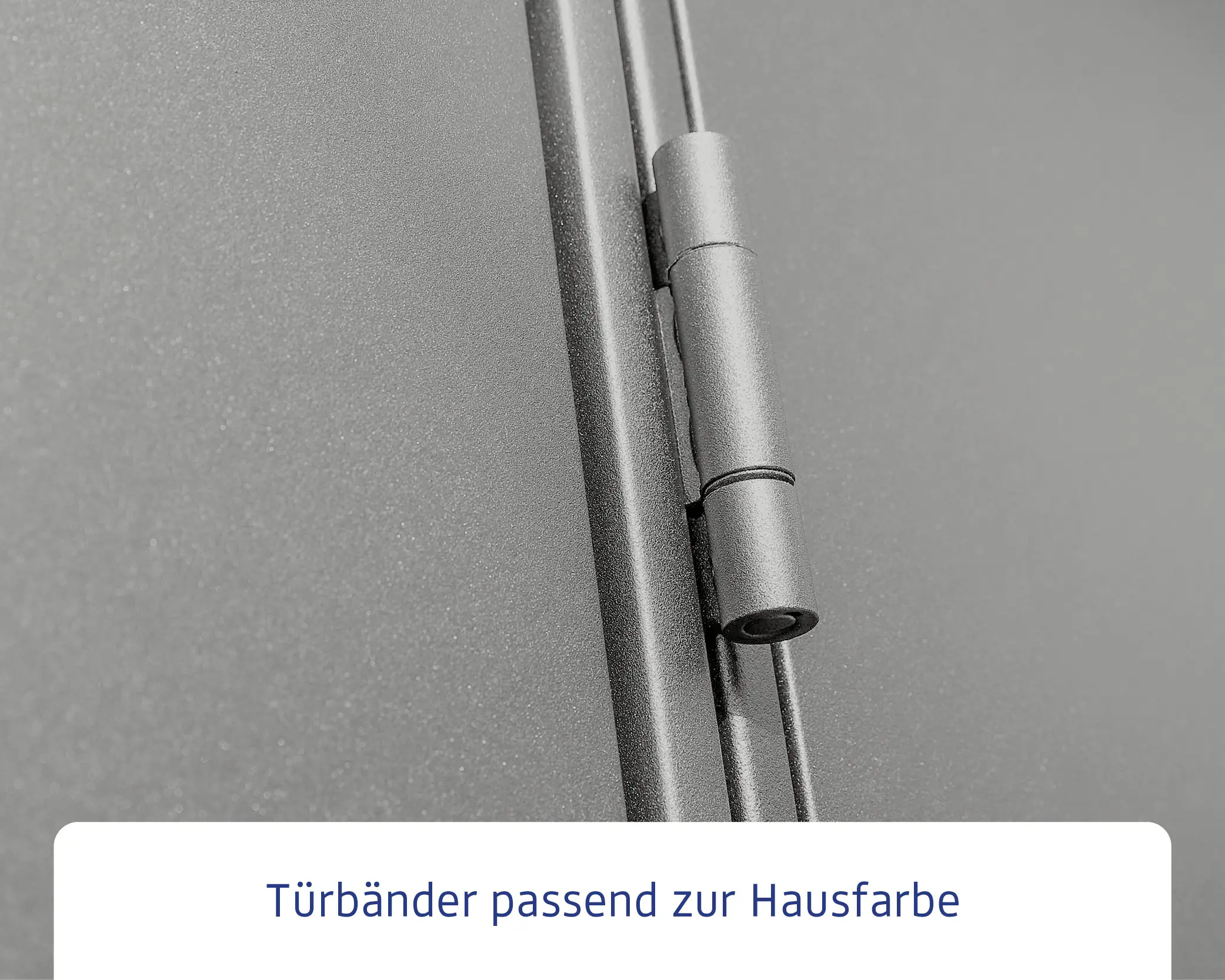 EcoStar Gerätehaus Elegant-P Typ 1 graualuminium 247,9 x 153 x 228,6 cm