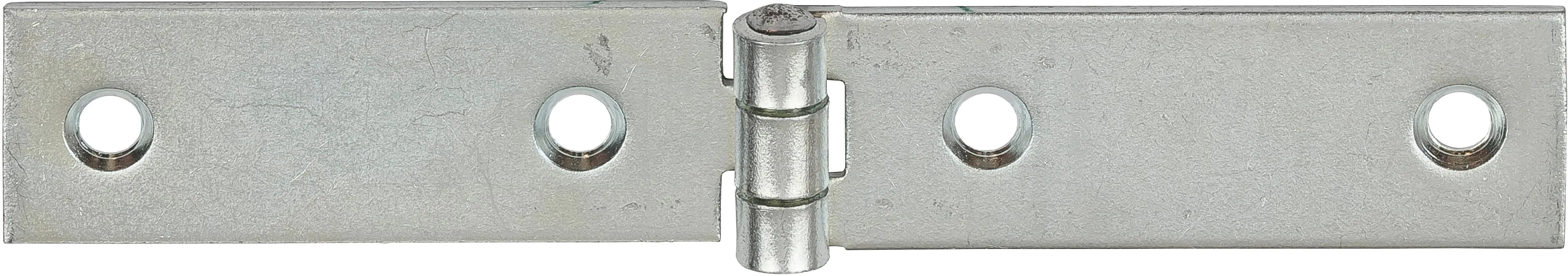 Vormann Schmale Tischbänder verzinkt 100 x 20 mm Vormann Schmale Tischbänder verzinkt 100 x 20 mm