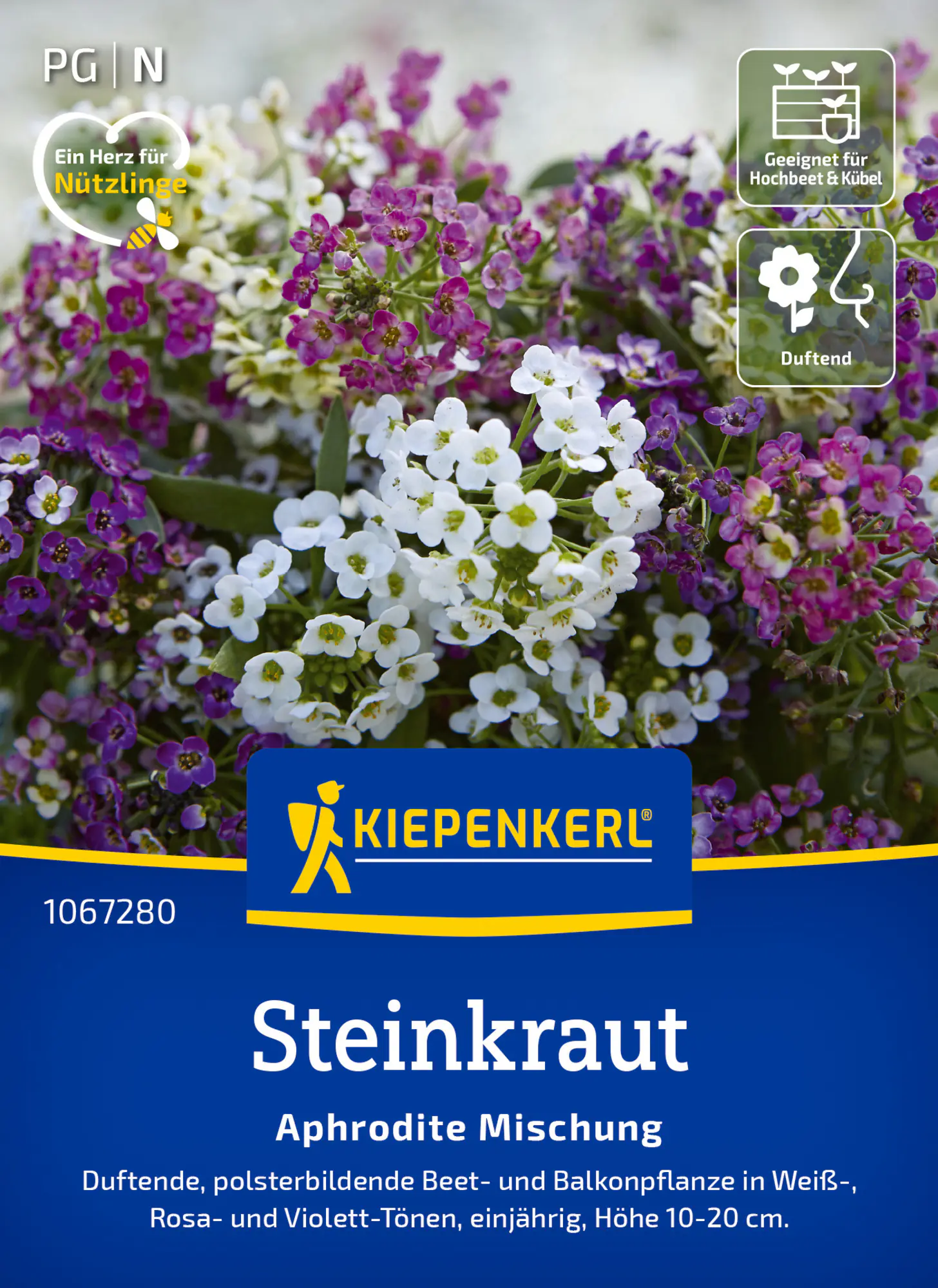 Kiepenkerl Blumensamen Steinkraut Aphrodite Mischung für ca. 50 Pflanzen