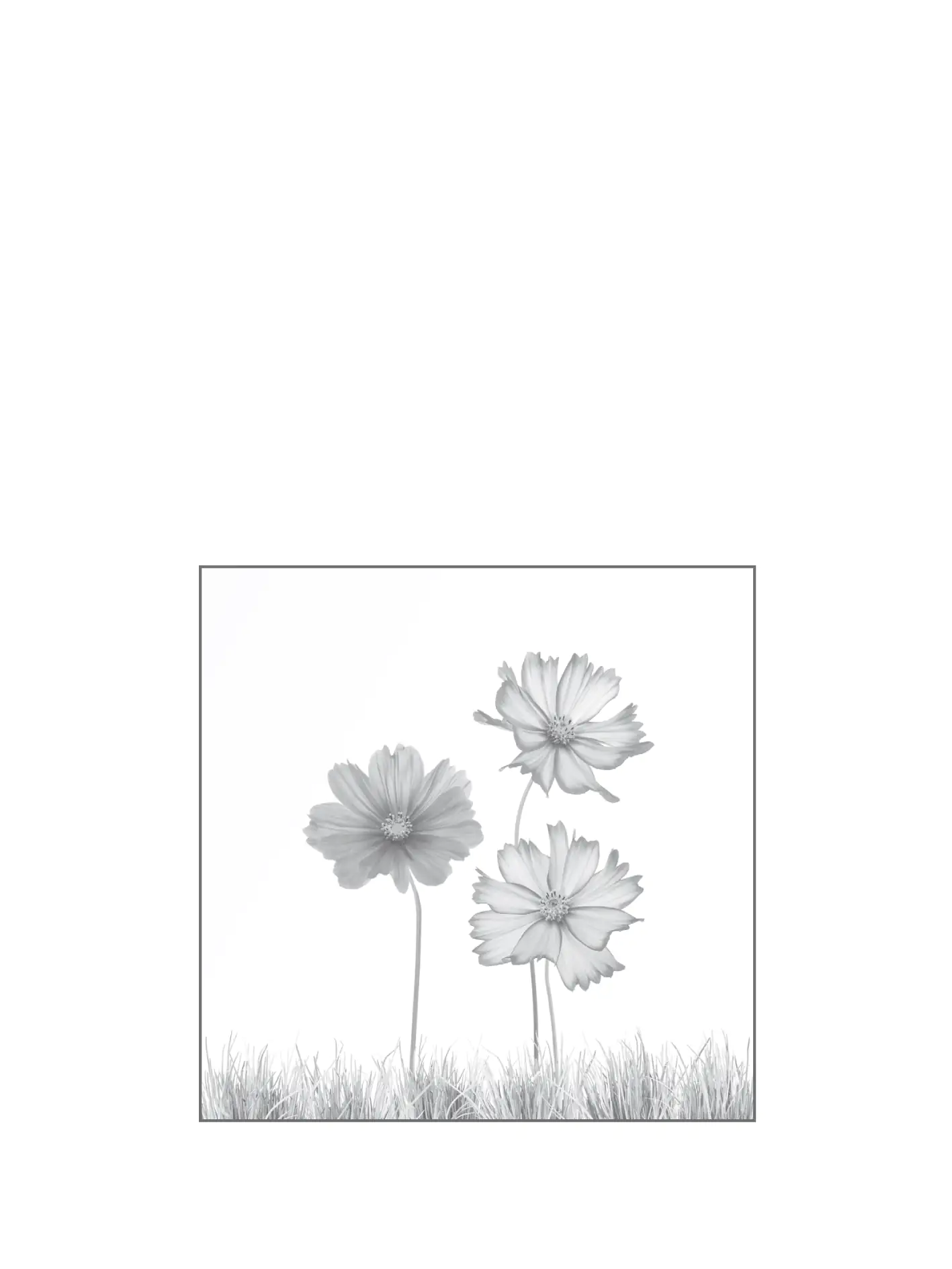 Ambiente Glaszaun Dekor 93 120 x 120 cm gehärtetes 8 mm Glas