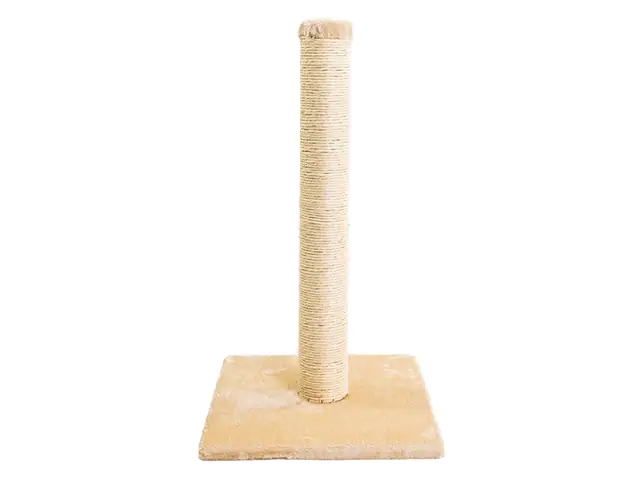 TrendLine Kratzbaum Bambino H 65 cm beige