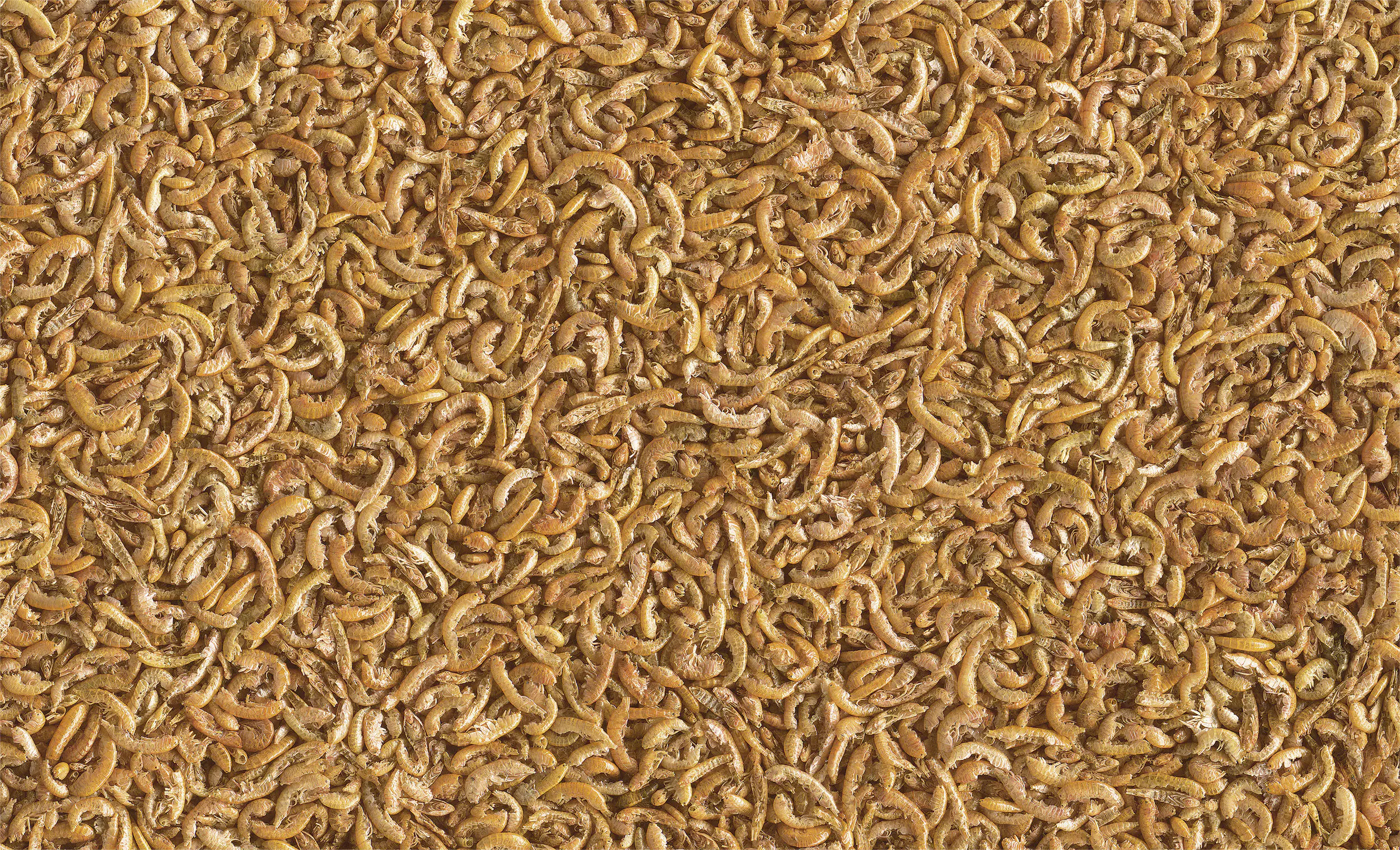 Tetra ReptoMin Menu 250 ml