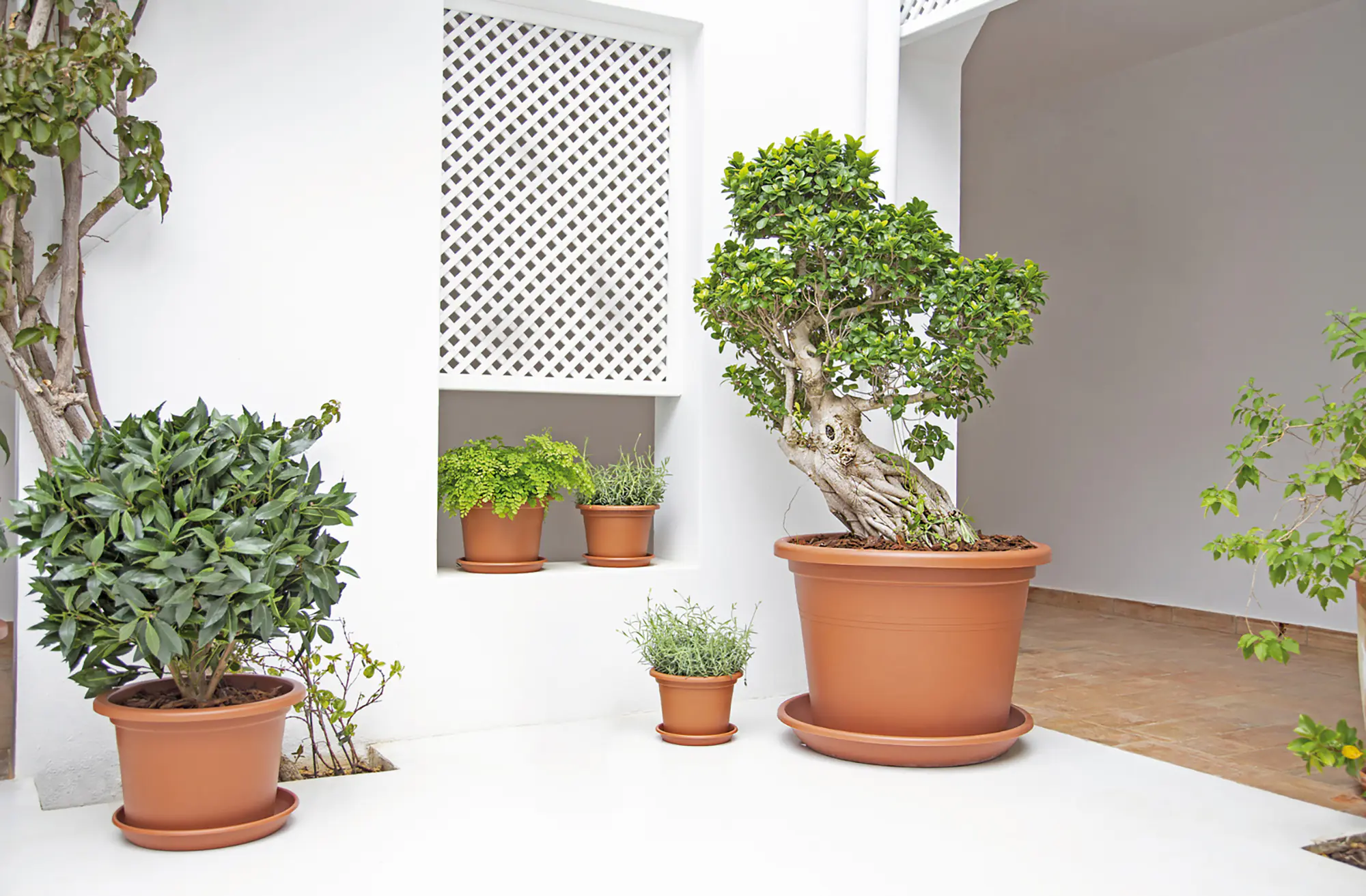 Artevasi Pflanztopf Venezia Cilindro Kunststoff terrakotta matt Ø 40 x 28 cm