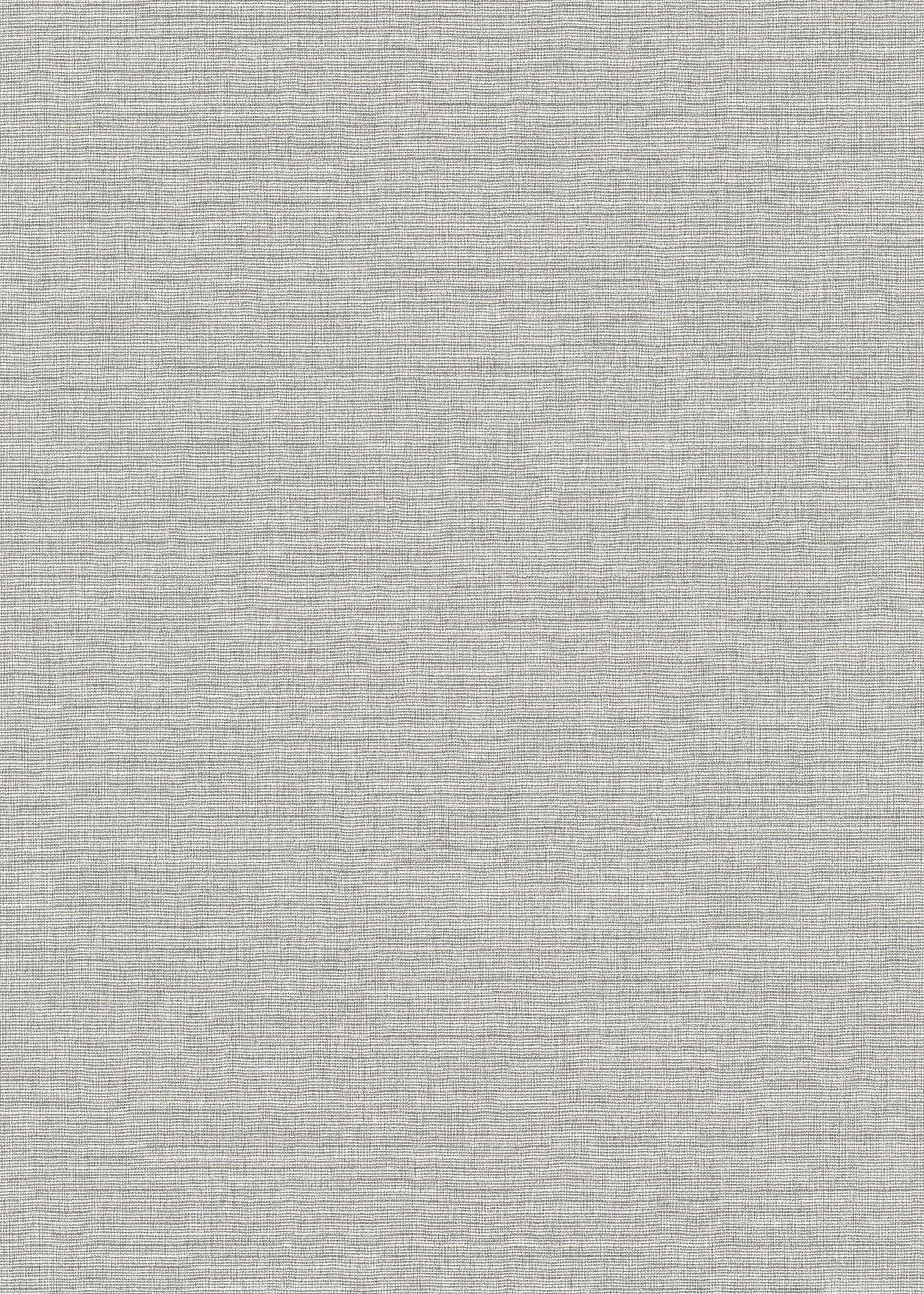 Erismann Vliestapete Uni taupe 10,05 x 0,53 m