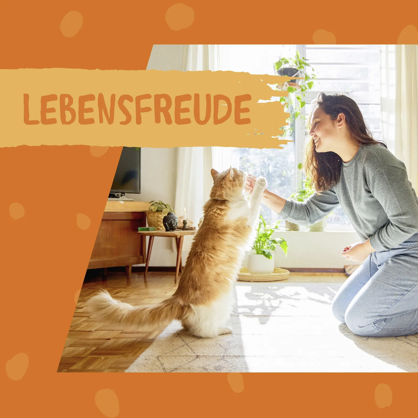 Dokas Lachs-Smoothie 120 g