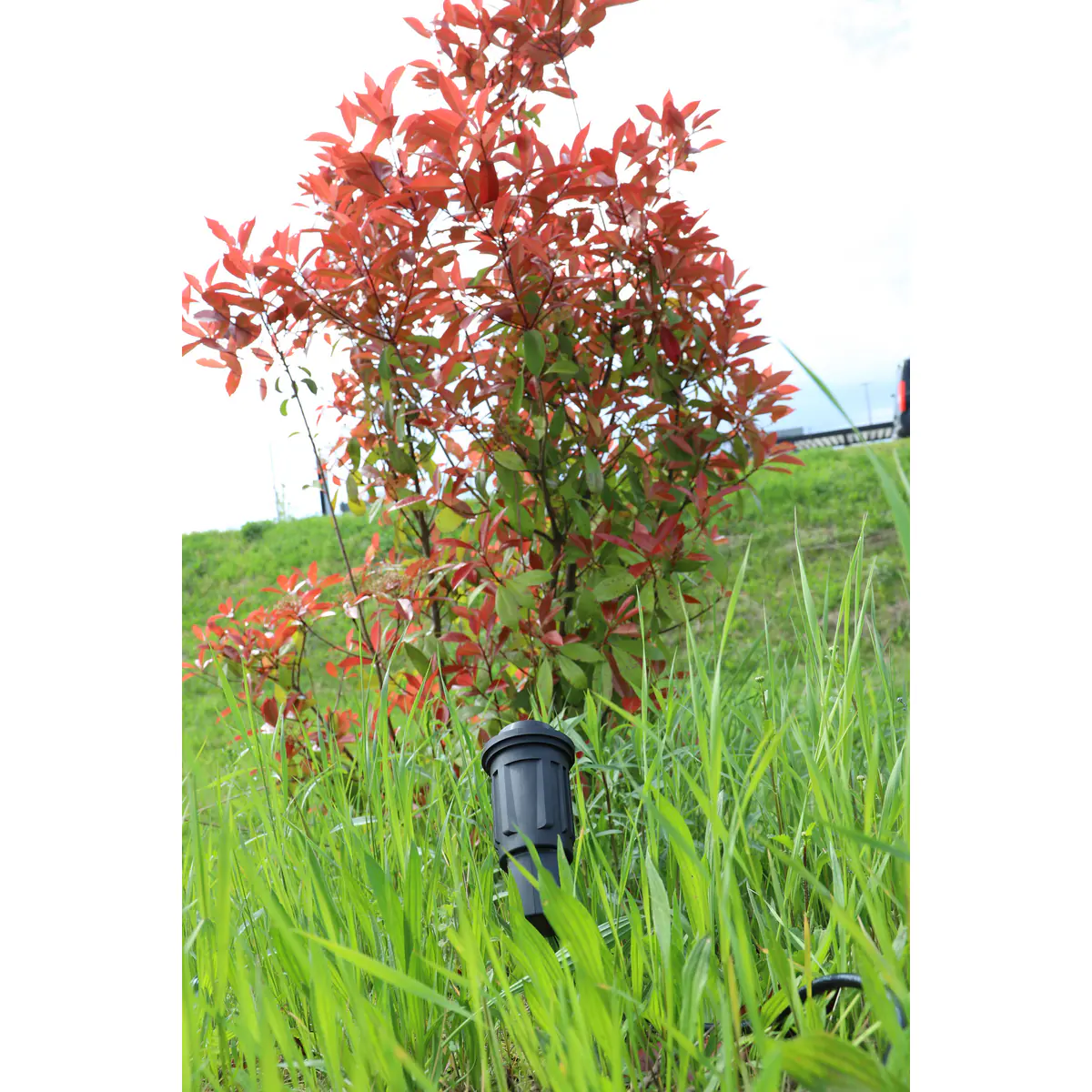 Unitec LED-Wegeleuchte mit Erdspieß 1,5 m schwarz Unitec LED-Wegeleuchte mit Erdspieß 1,5 m schwarz