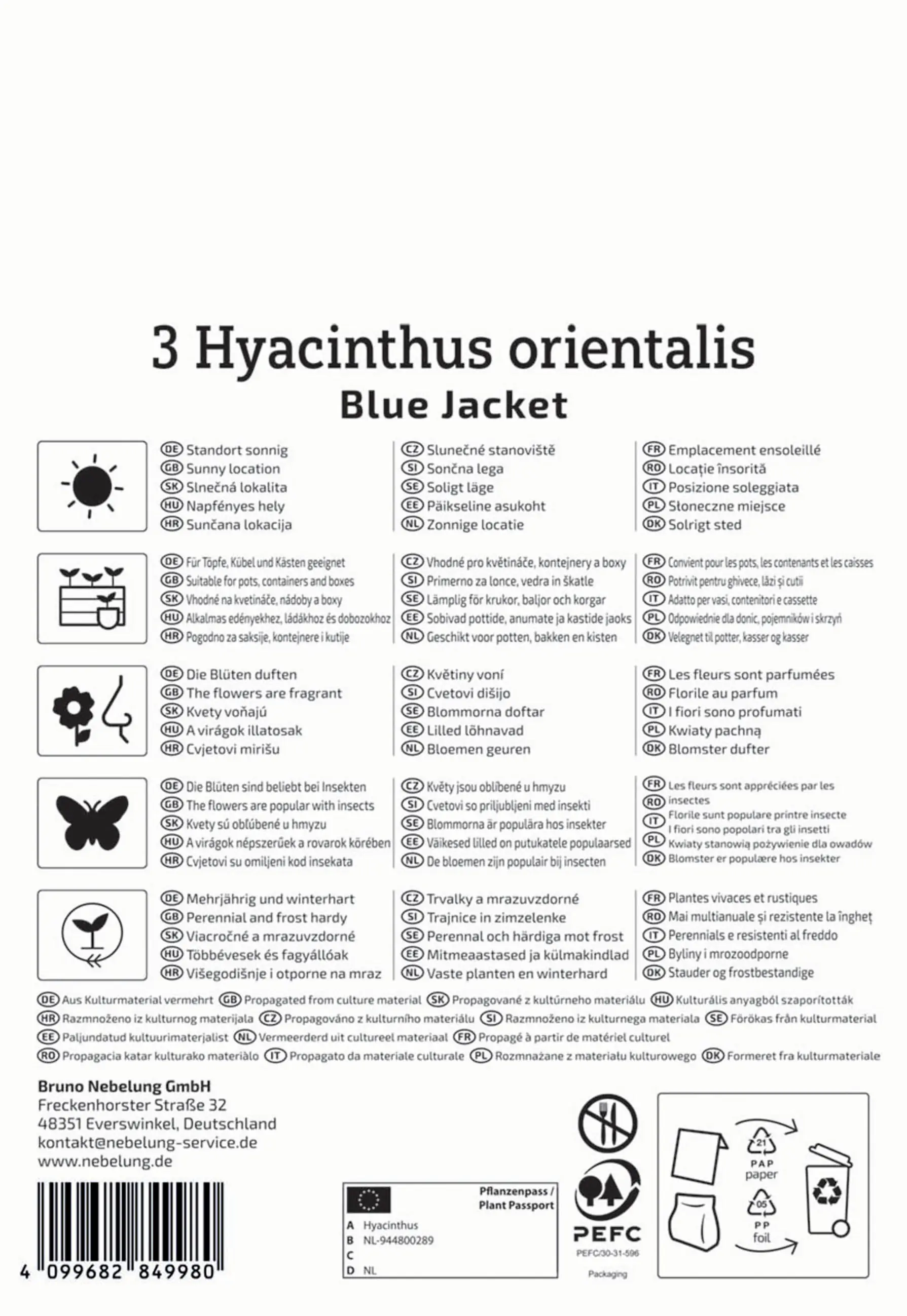 Kiepenkerl Herbstblumenzwiebel Hyazinthe Blue Jacket 3 Stück