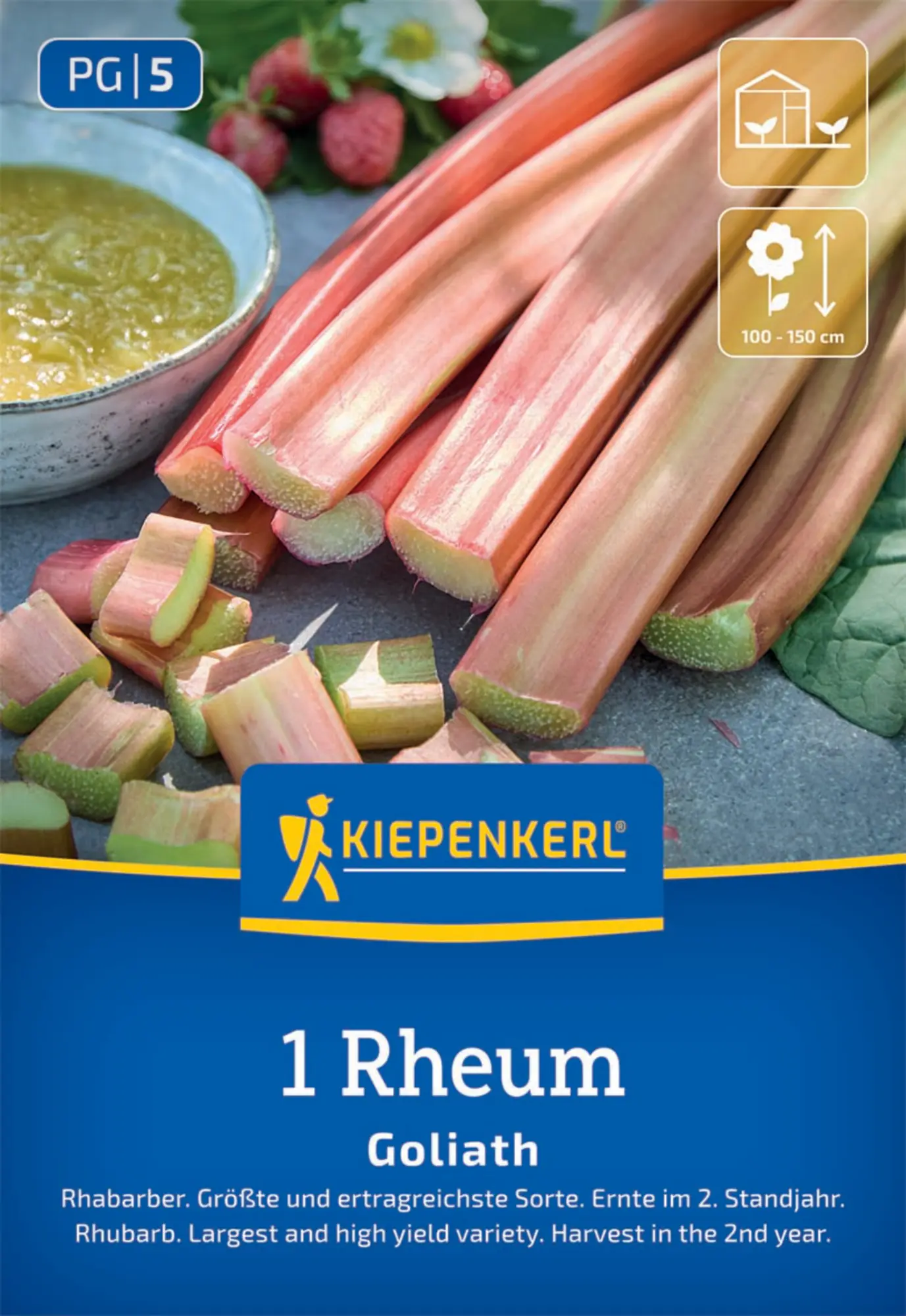 Kiepenkerl Pflanzgut Rhabarber Goliath Rheum rhabarbarum 1 Stück