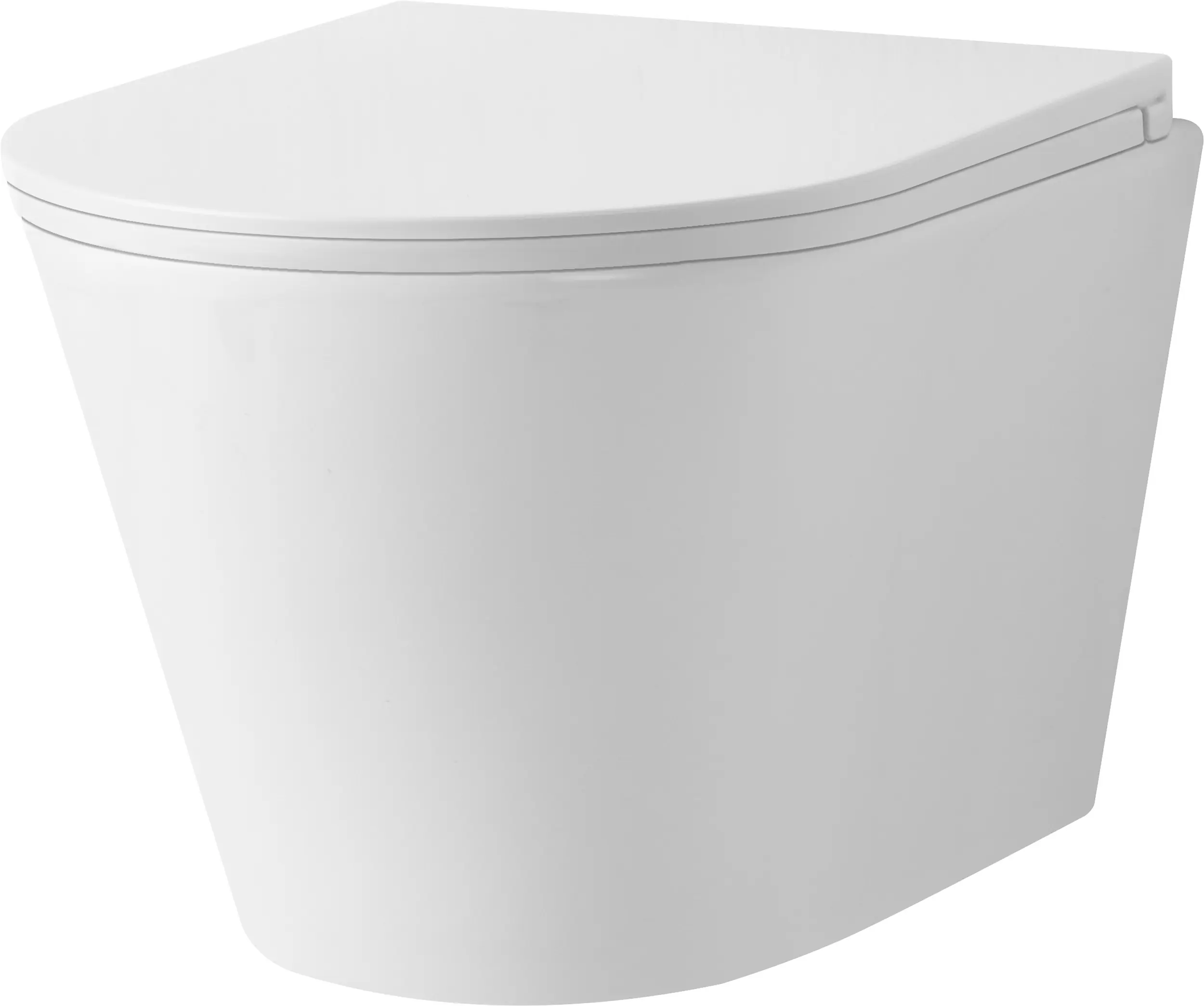 Primaster Wand WC spülrandlos Leros Tiefspüler weiß inkl. WC Sitz