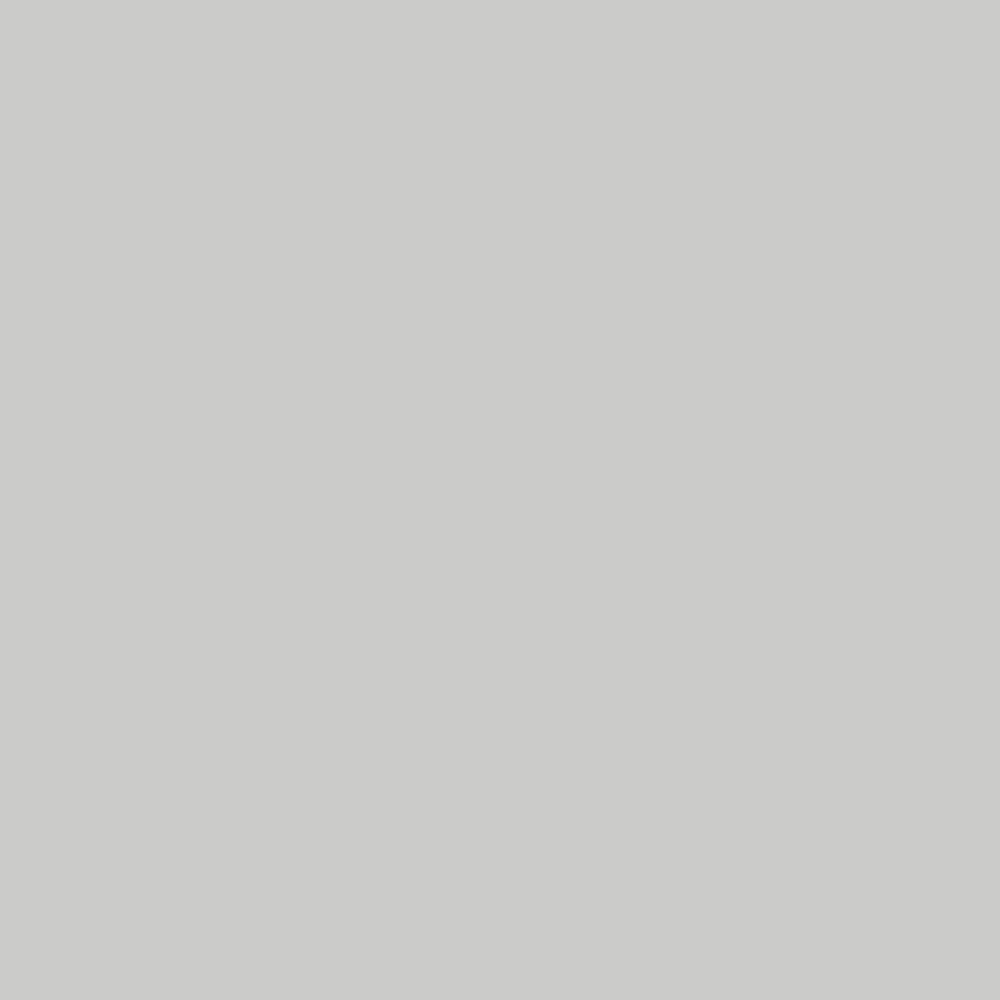 Wilsonart Sealant Dichtmittel Silver Grey 290 ml
