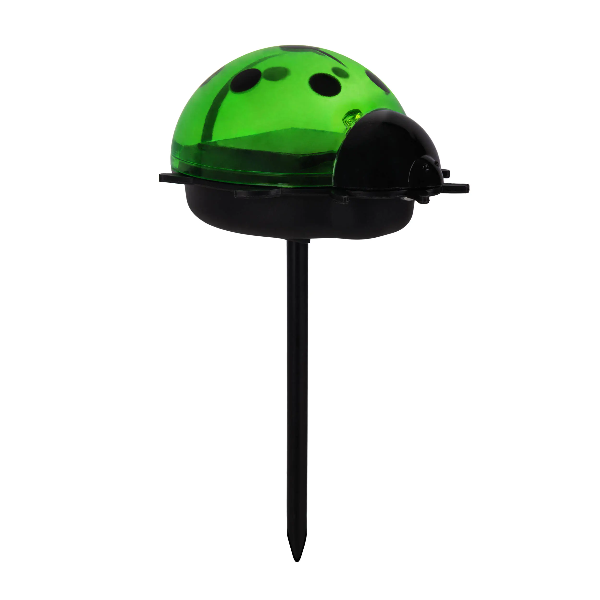 Light & More LED Solarleuchte Marienkäfer grün