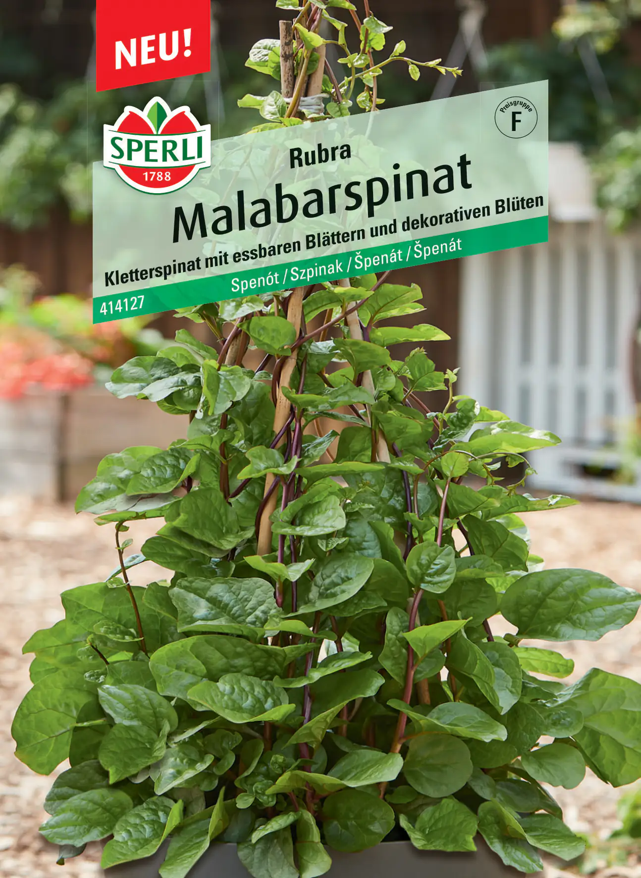 Sperli Malabarspinat Rubra