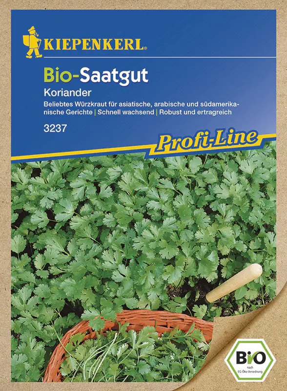 Kiepenkerl BIO Coriander Coriandrum sativum, Inhalt: ca. 80 Pflanzen
