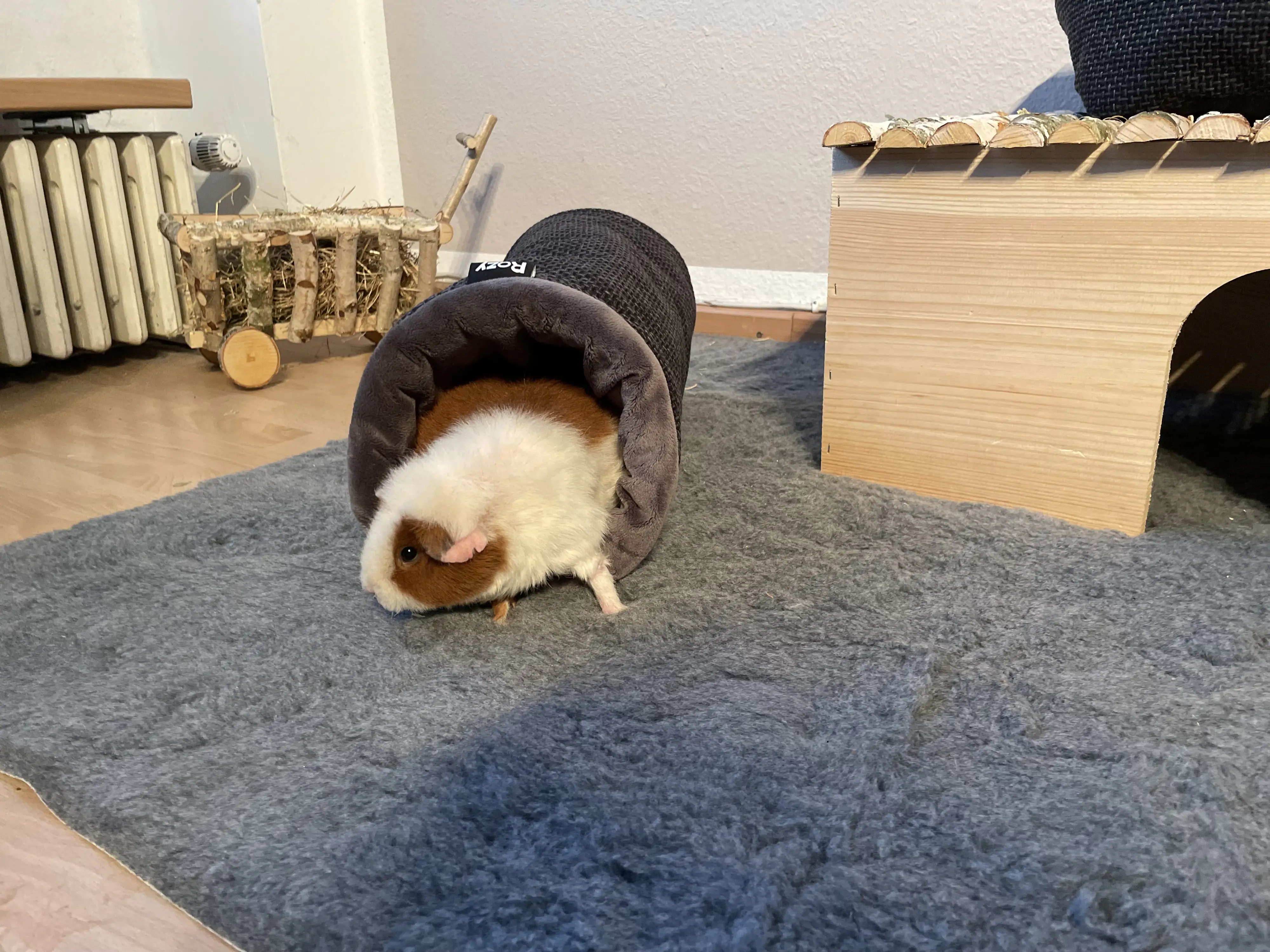 Ollesch Tunnel Stella 50 x 20 cm grau Ollesch Tunnel Stella 50 x 20 cm grau