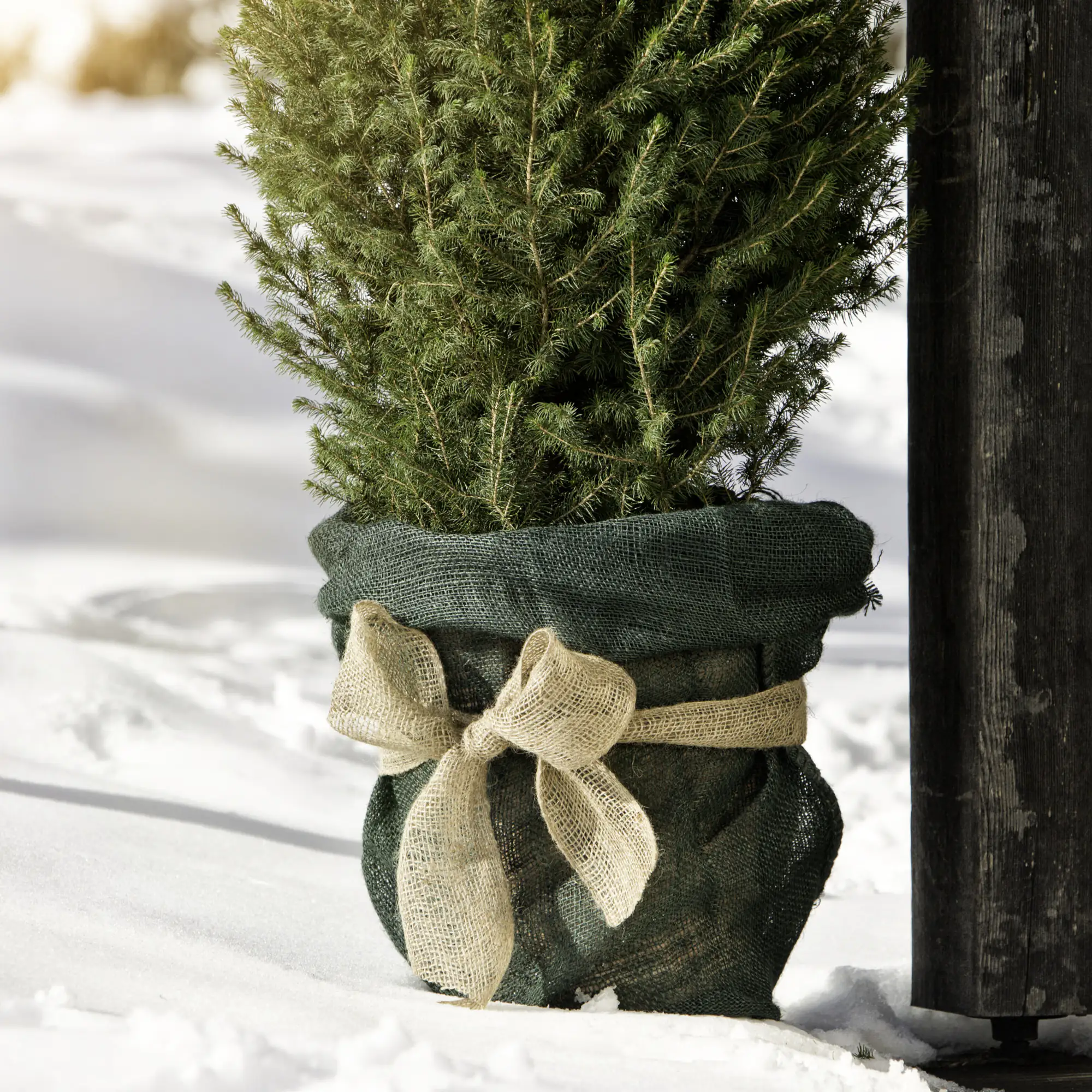 9003117060715 Windhager Jute-Sack 70 x 100 cm, grün