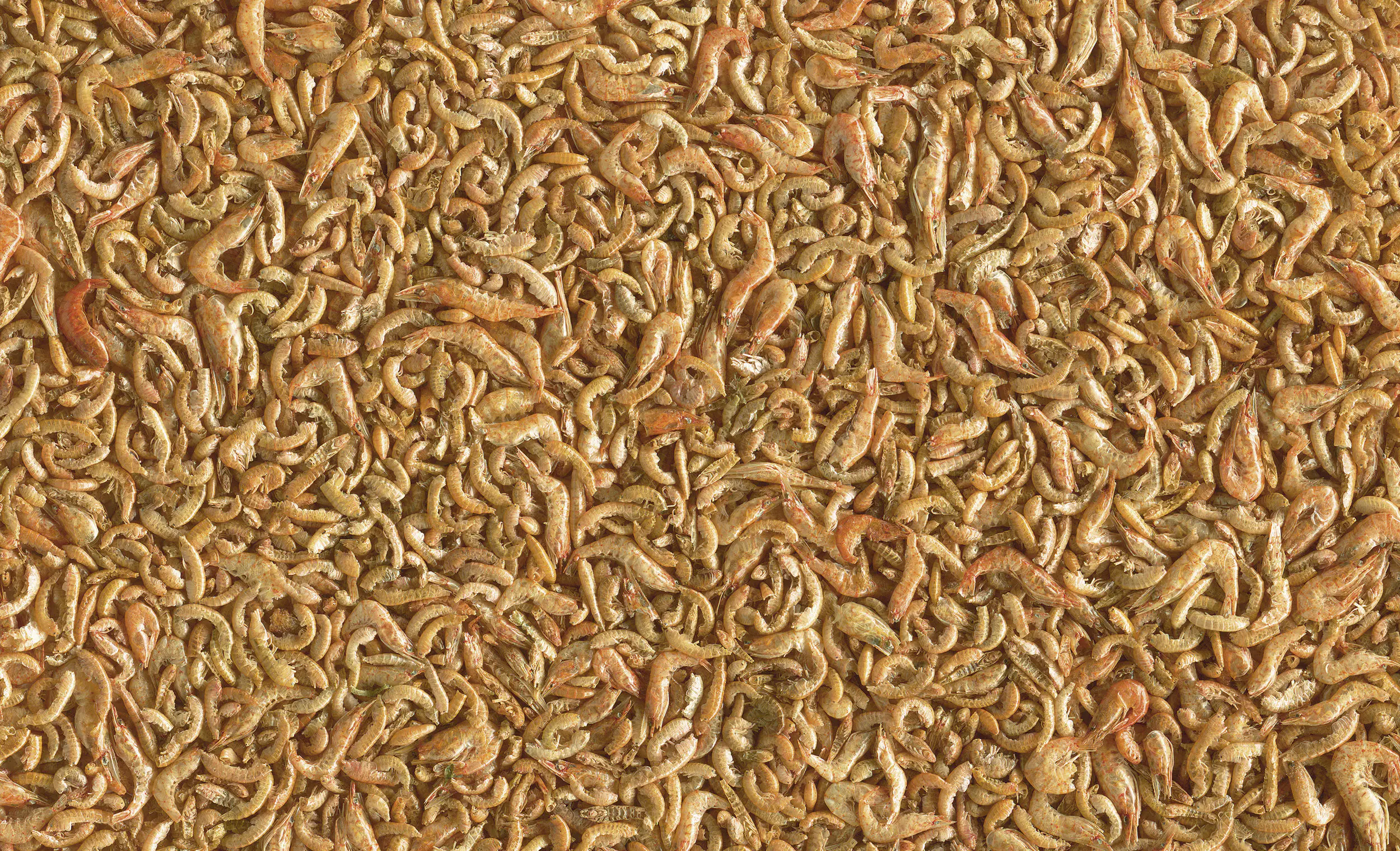 Tetra Pond Shrimp Mix 1 L