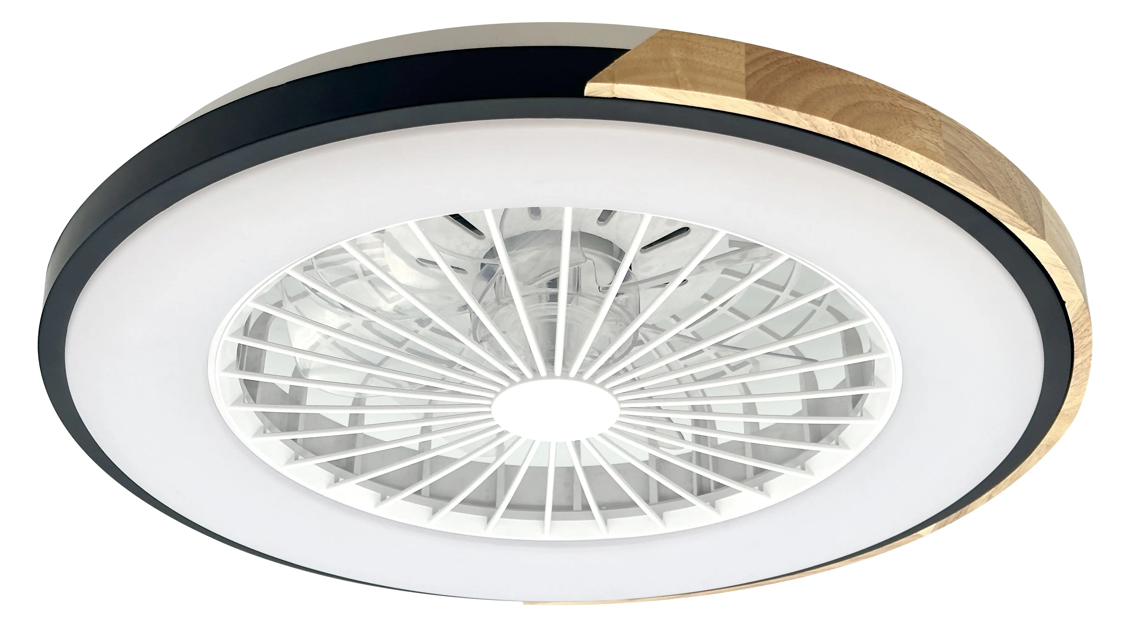 LED-Deckenventilator Fabian 48W warmweiß-kaltweiß