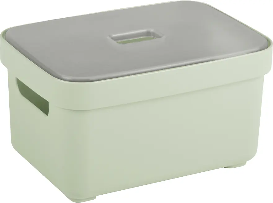 Sunware Aufbewahrungsbox Sigma Home 2,5 l hellgrün