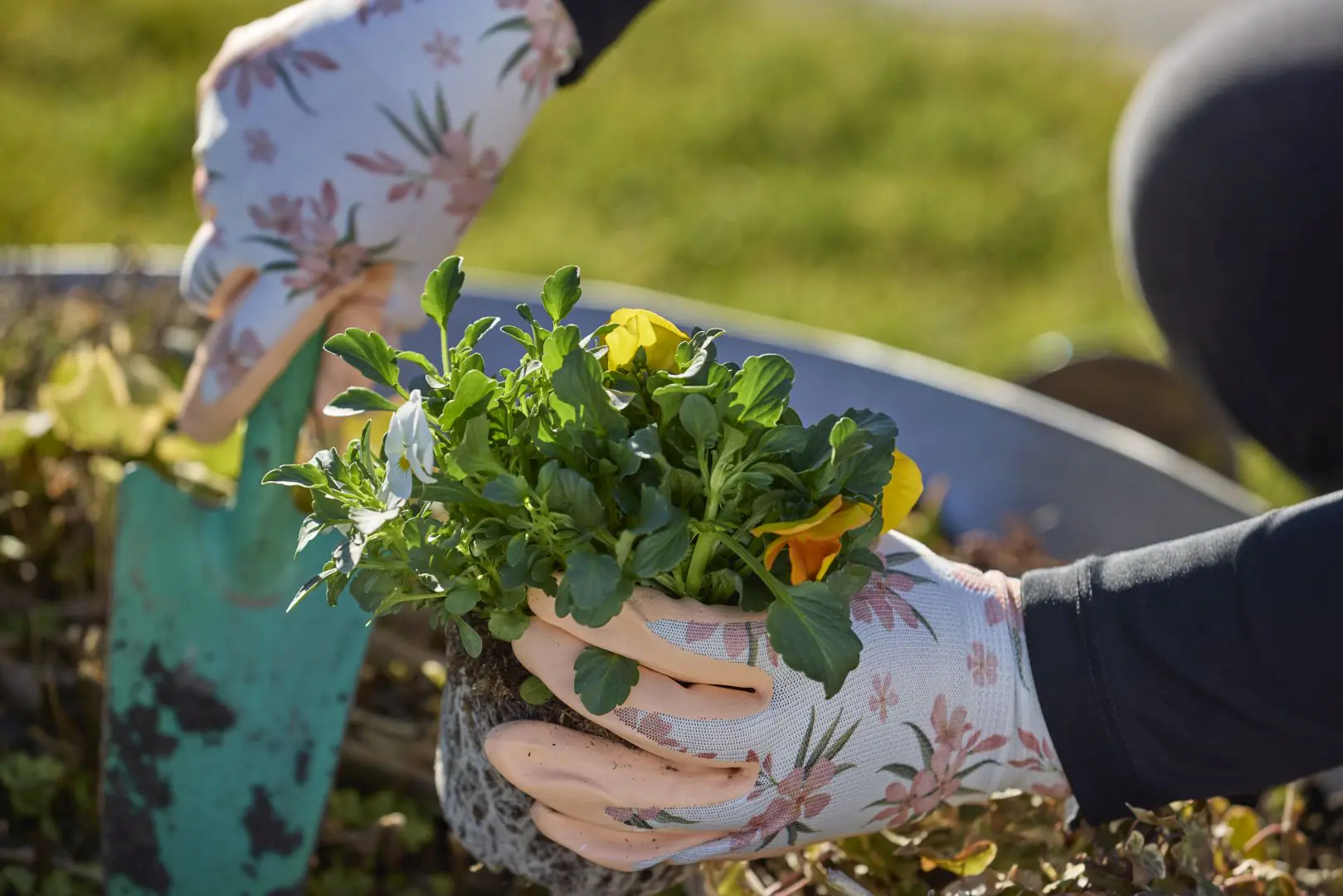 Handschuh Gardeluxe Oleander