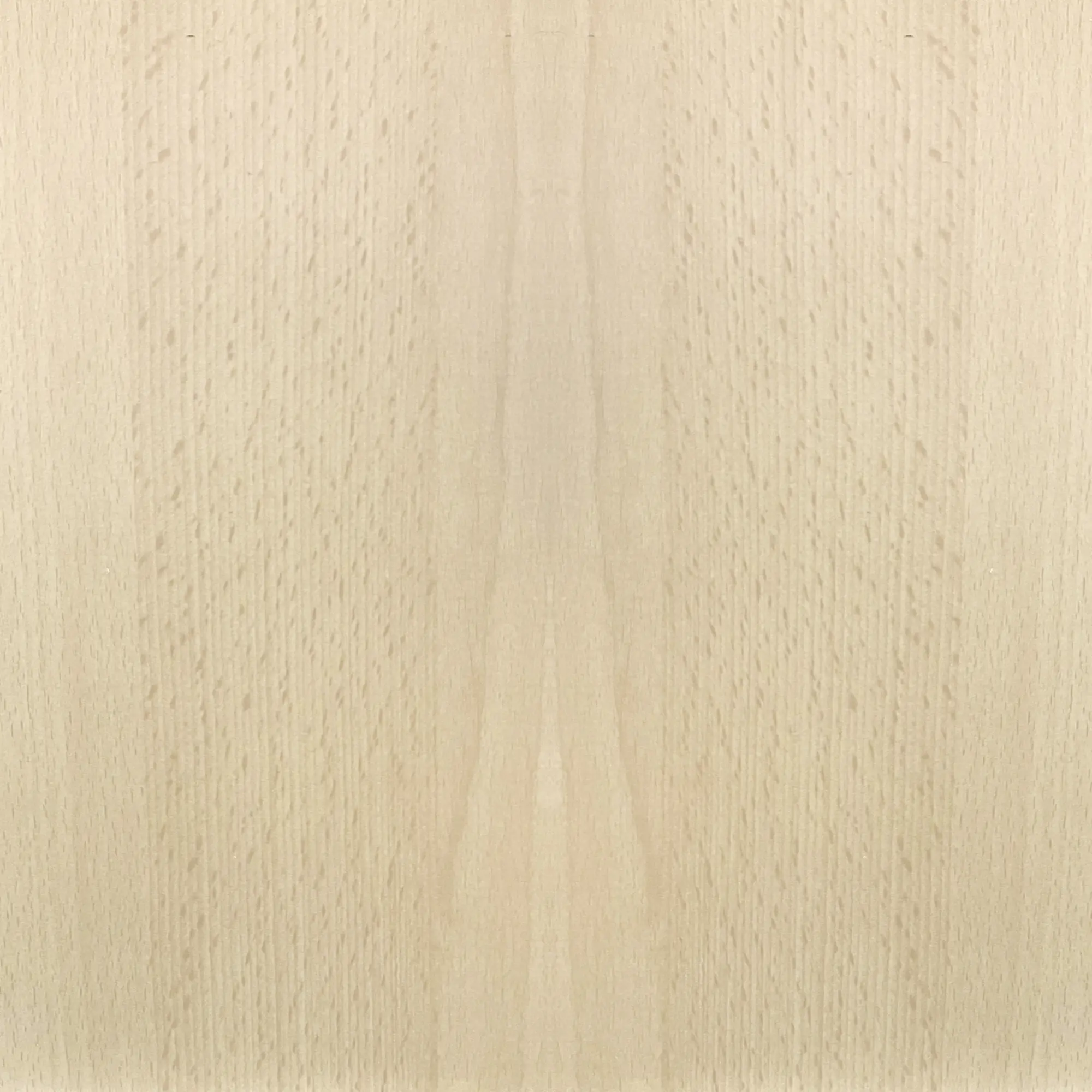 FN Neuhofer Flachleiste 95 cm 29 x 10 mm Buche