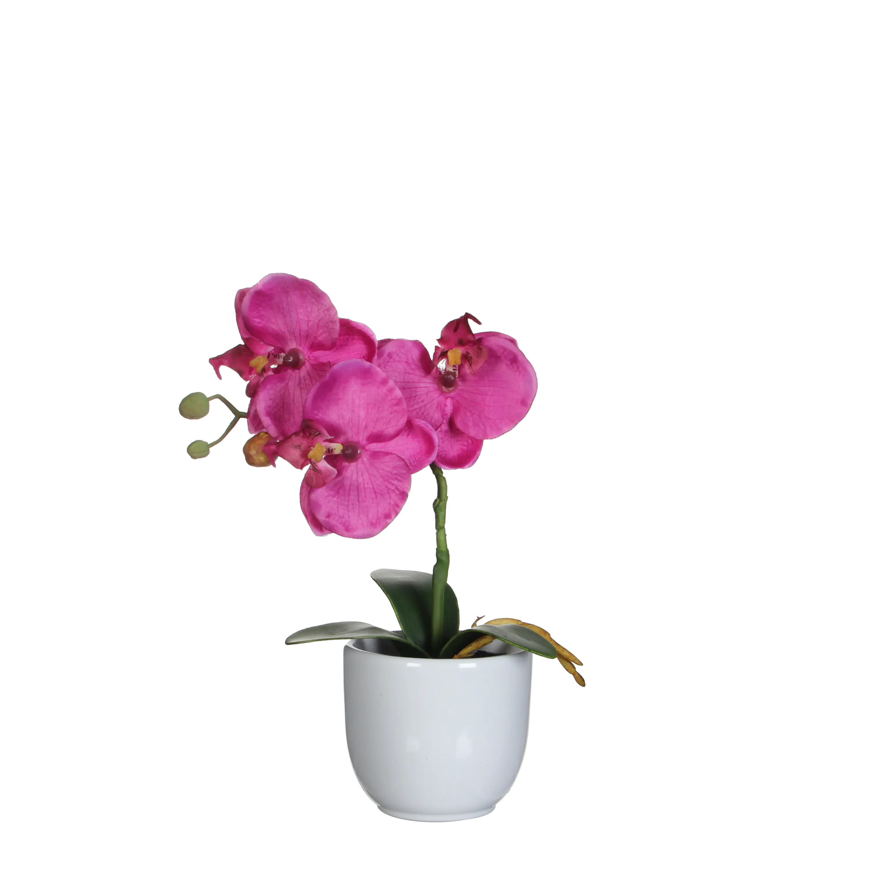 Mica Kunstpflanze Phalaenopsis im Topf violett, 26 x 12 cm