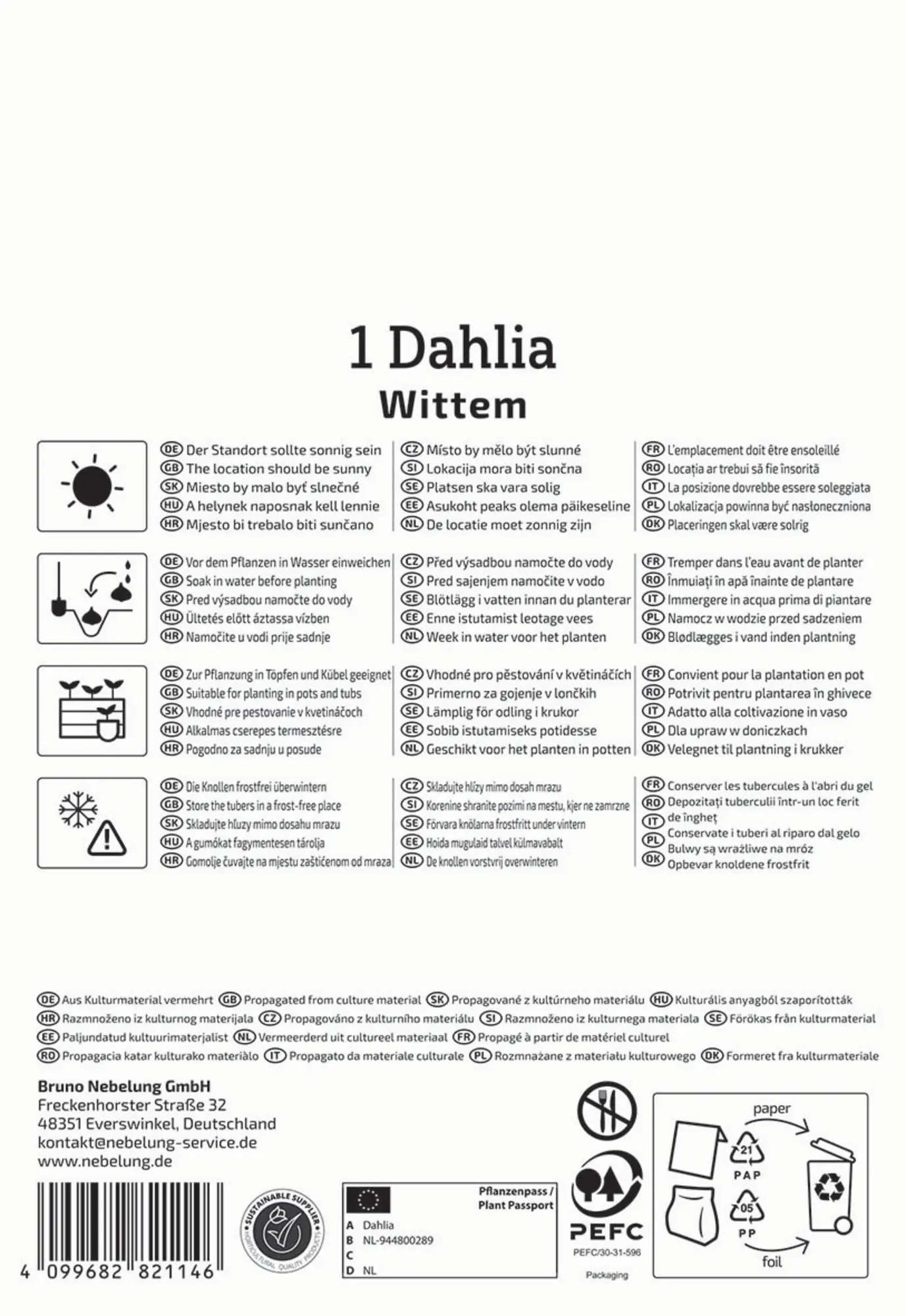 Kiepenkerl Frühjahrsblumenzwiebel Beet- & Kübel-Dahlie Wittem 1 Stück