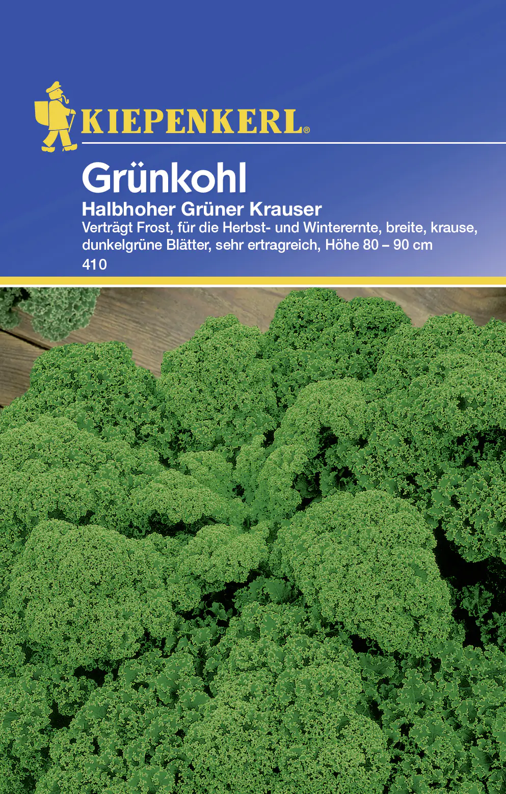 Kiepenkerl Grünkohl Halbhoher grüner Krauser Brassica oleracea var. sabellica, Inhalt: ca. 100 Pflan