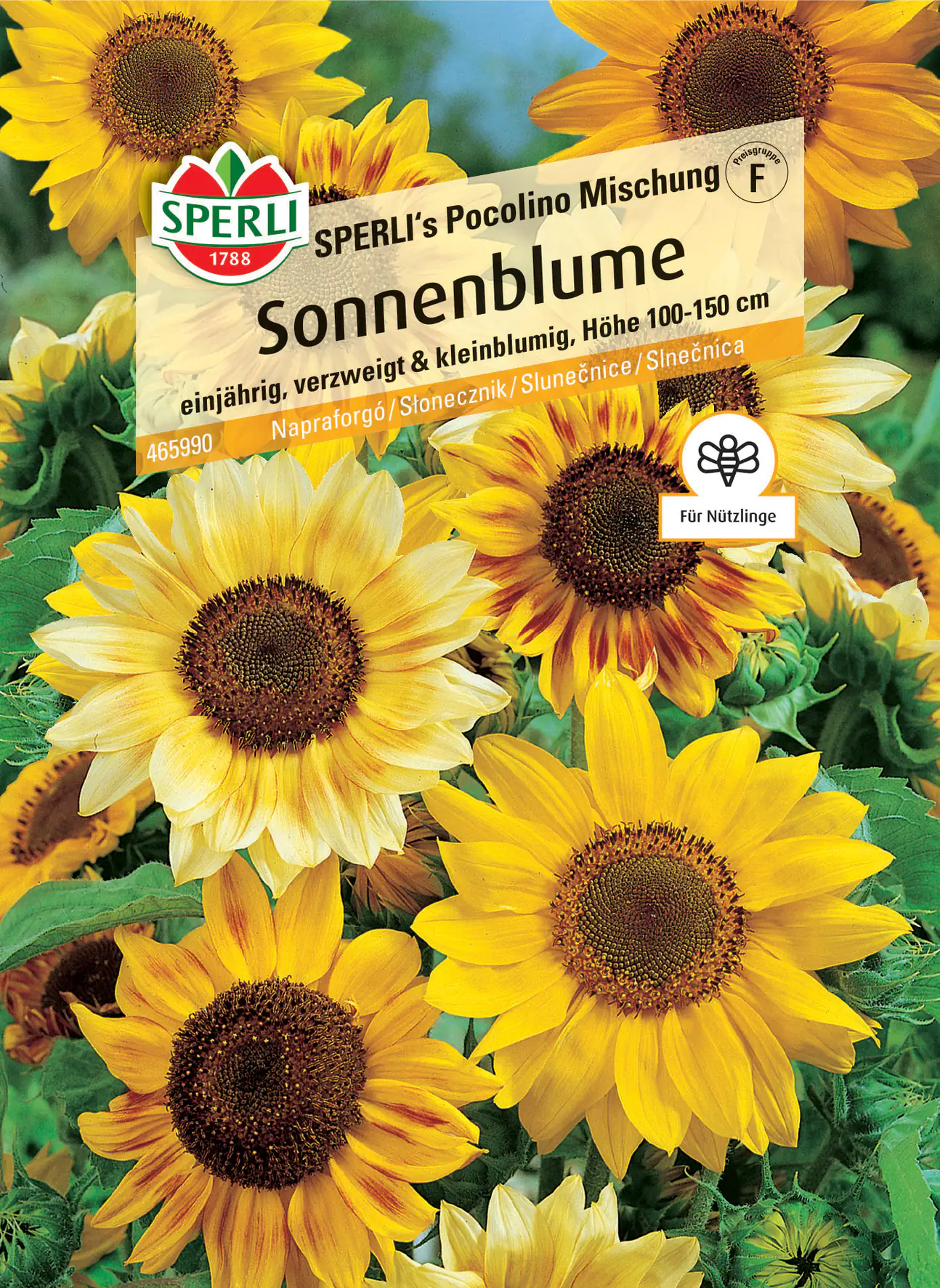 Sperli Sonnenblume SPERLI's Pocolino Mischung