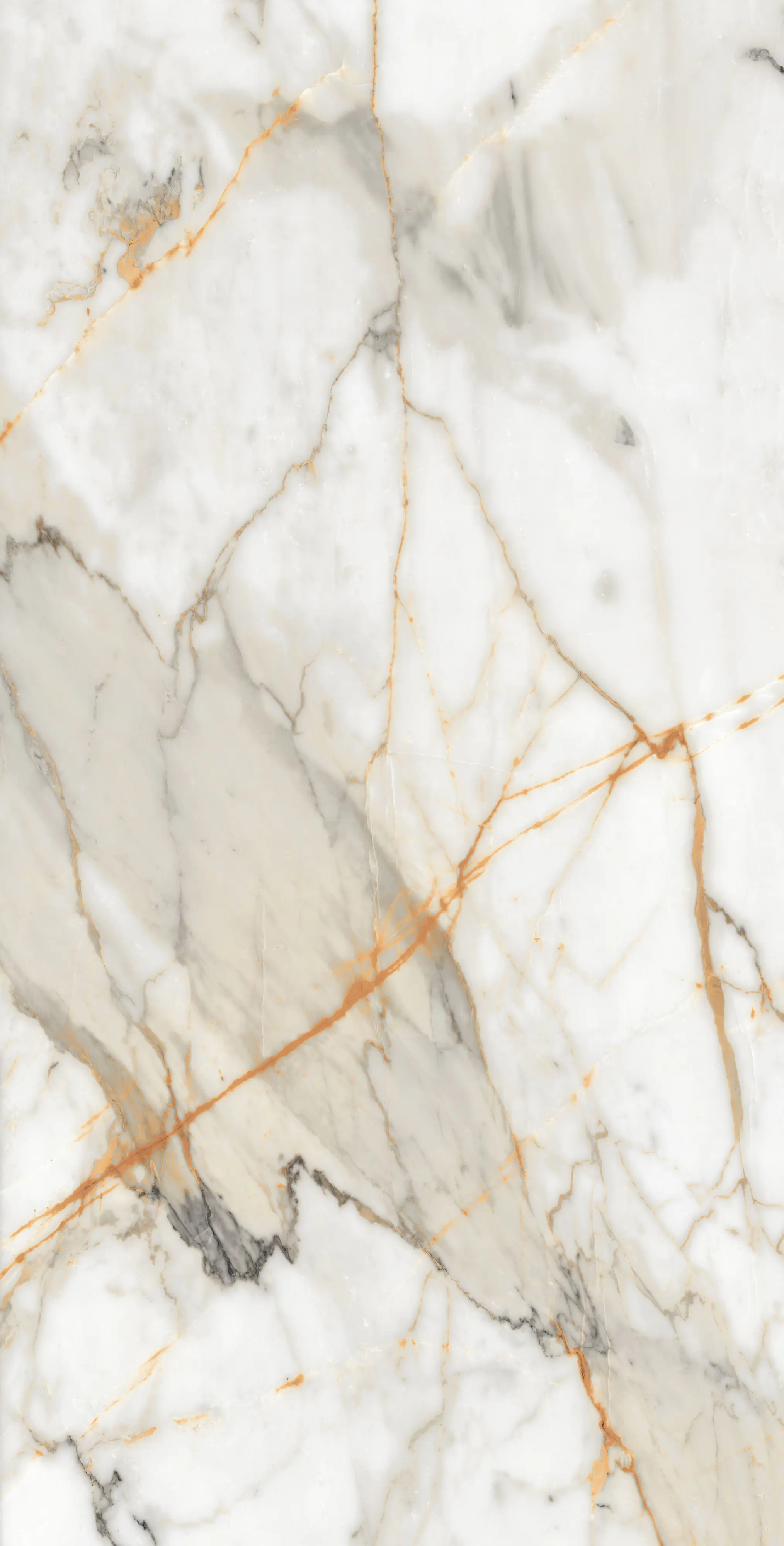 Bodenfliese Feinsteinzeug Visage Gold Plus 60 x 120 cm weiß