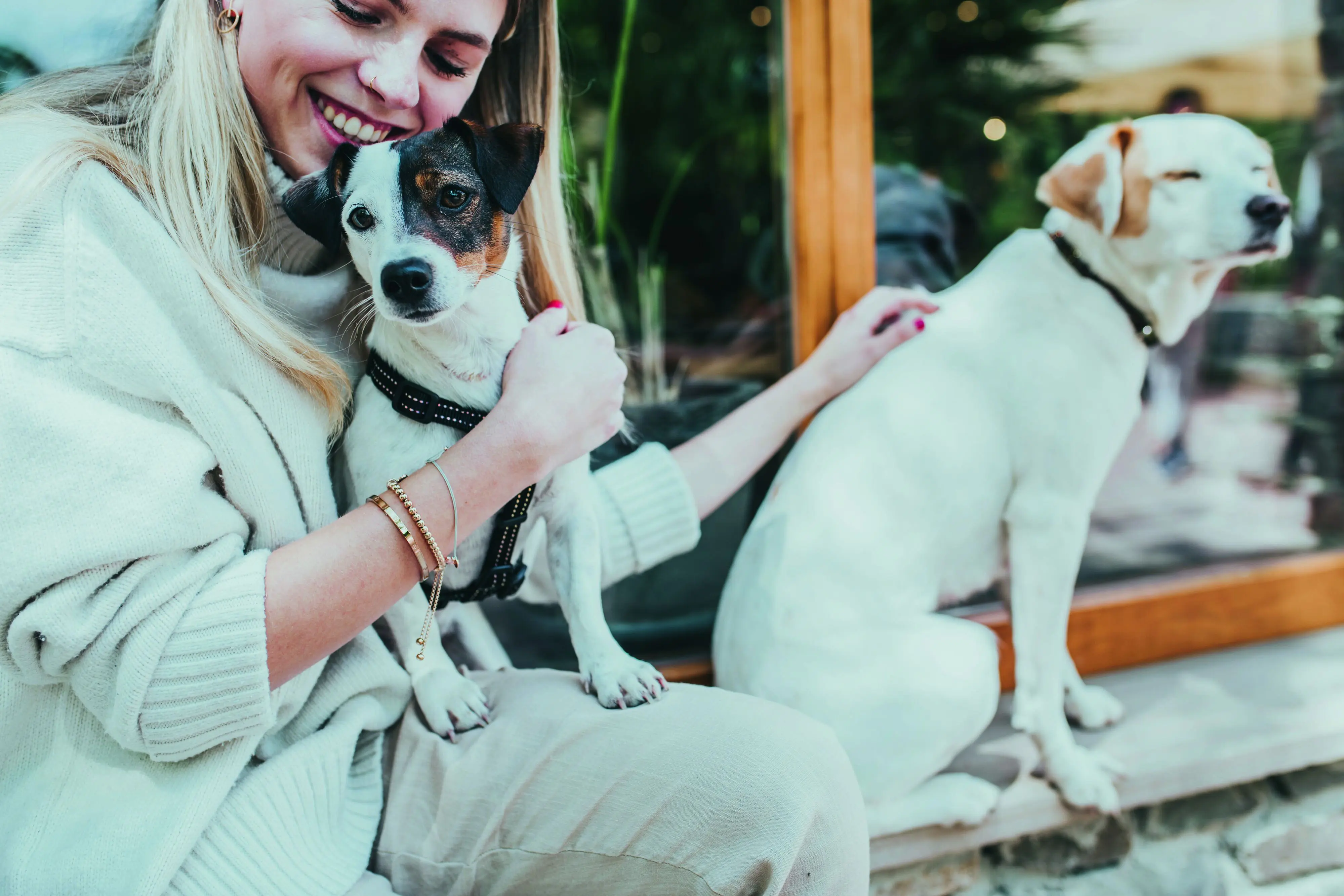 Hunter Hundegeschirr Tripoli S schwarz