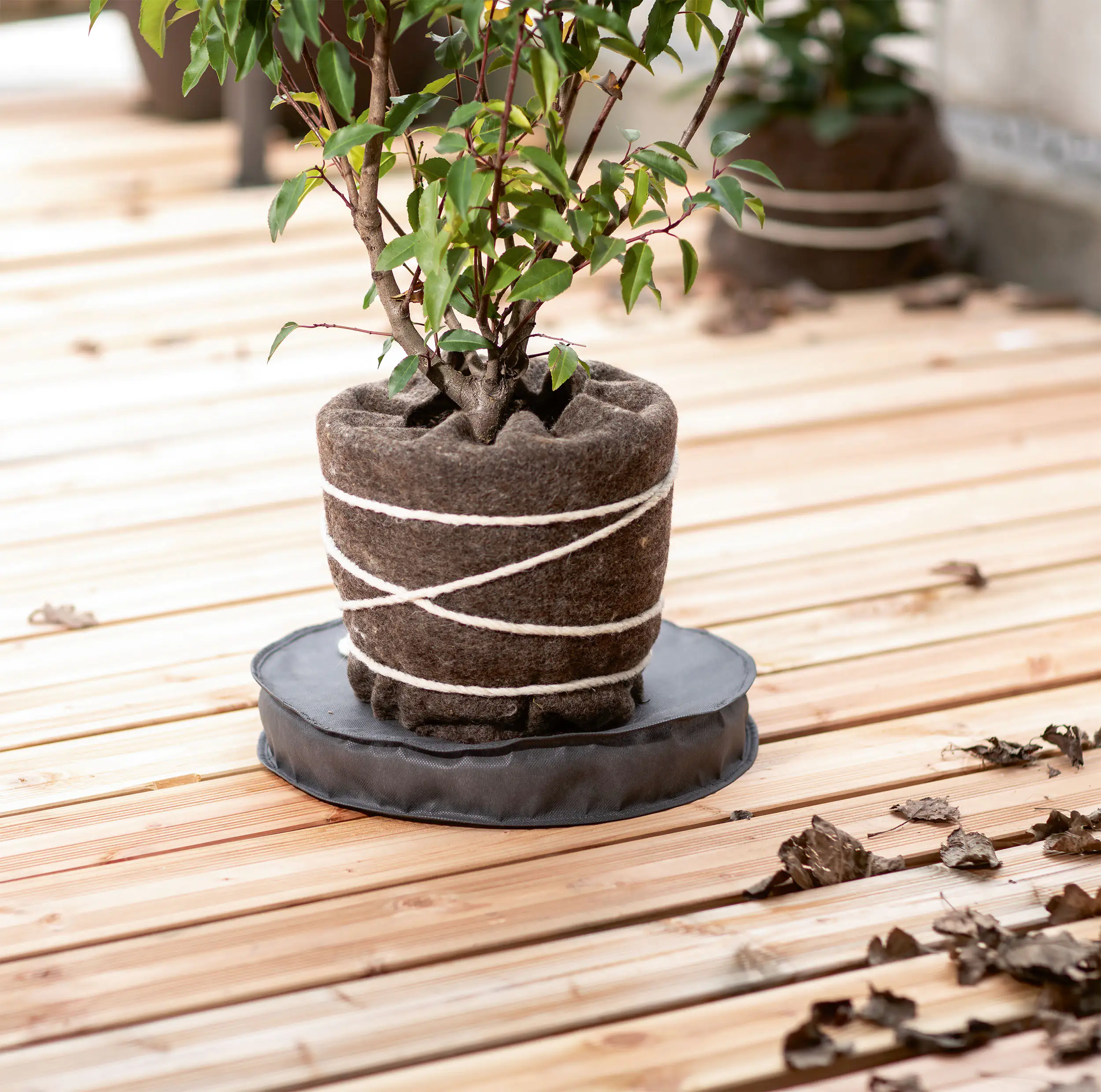 Windhager Kälteschutz Topfuntersetzer Ø 35 cm