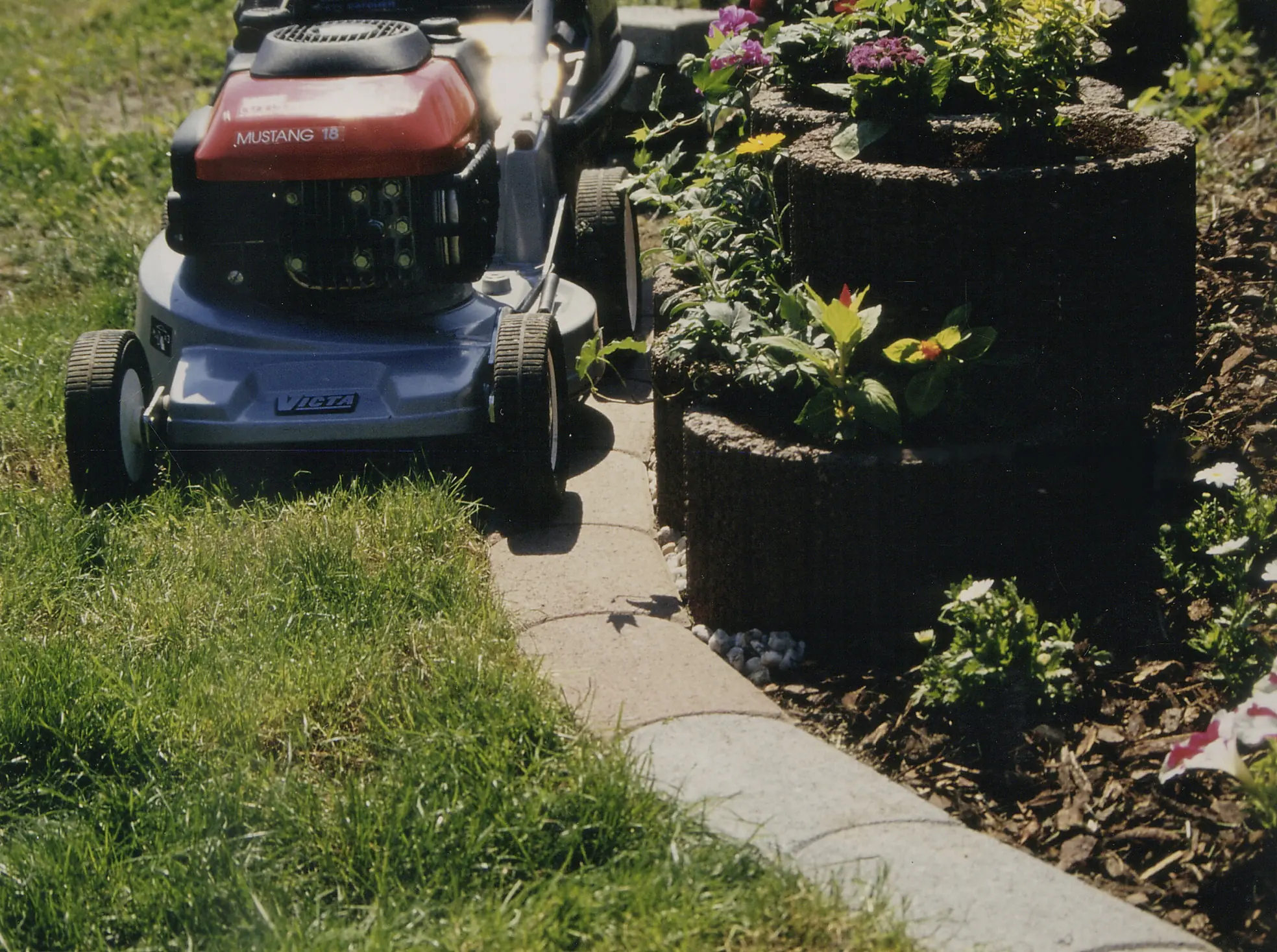 Kann Rasenkante Maxi 31,5 x 16 x 5 cm grau Kann Rasenkante Maxi 31,5 x 16 x 5 cm grau