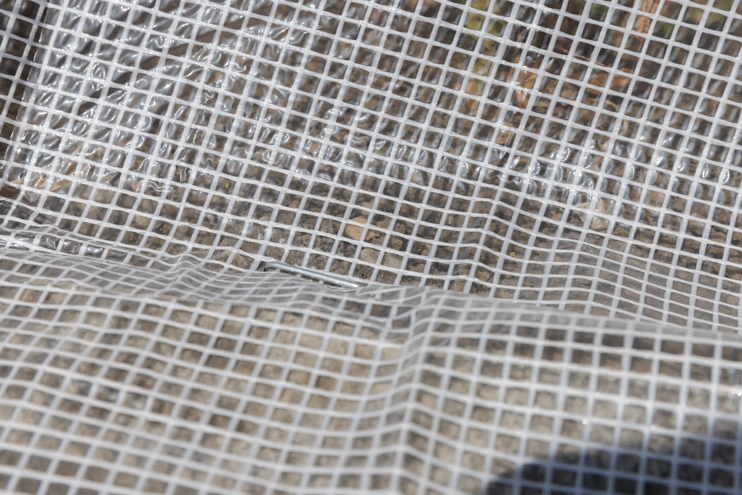 TrendLine Gitterfolie 3 x 2 m