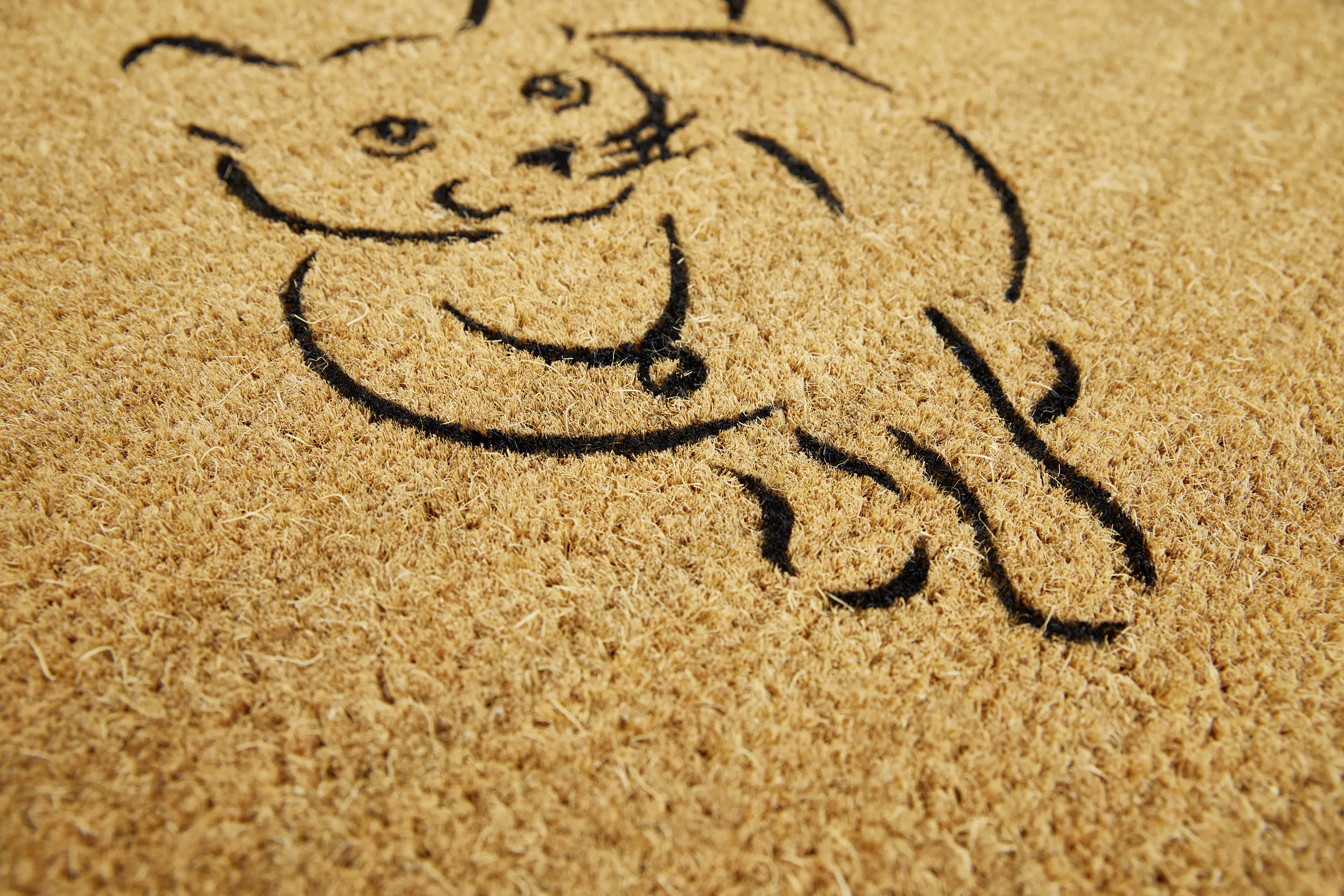 Fußmatte Kokos Pets 40 x 60 cm Cat