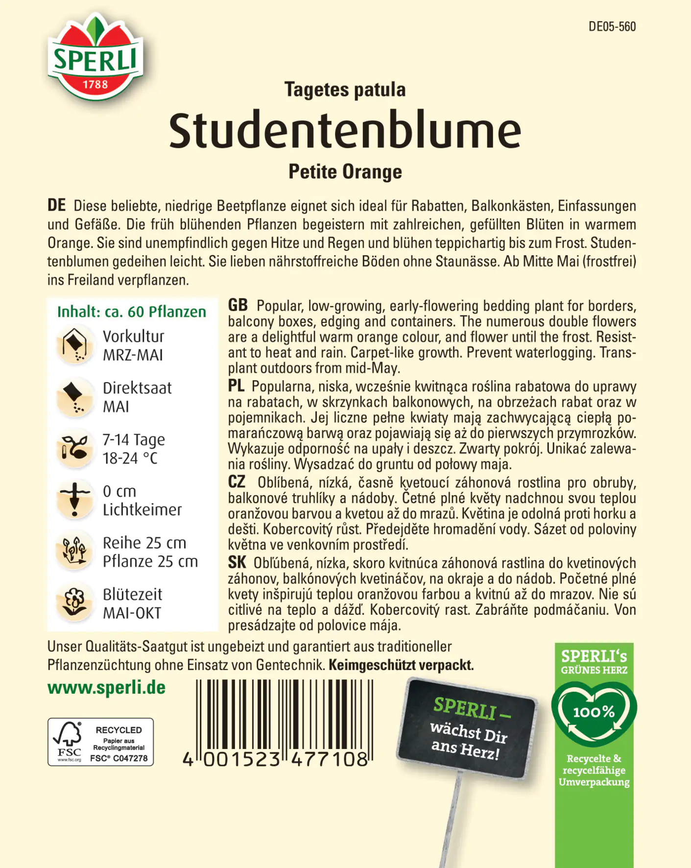 Sperli Studentenblume Petite Orange