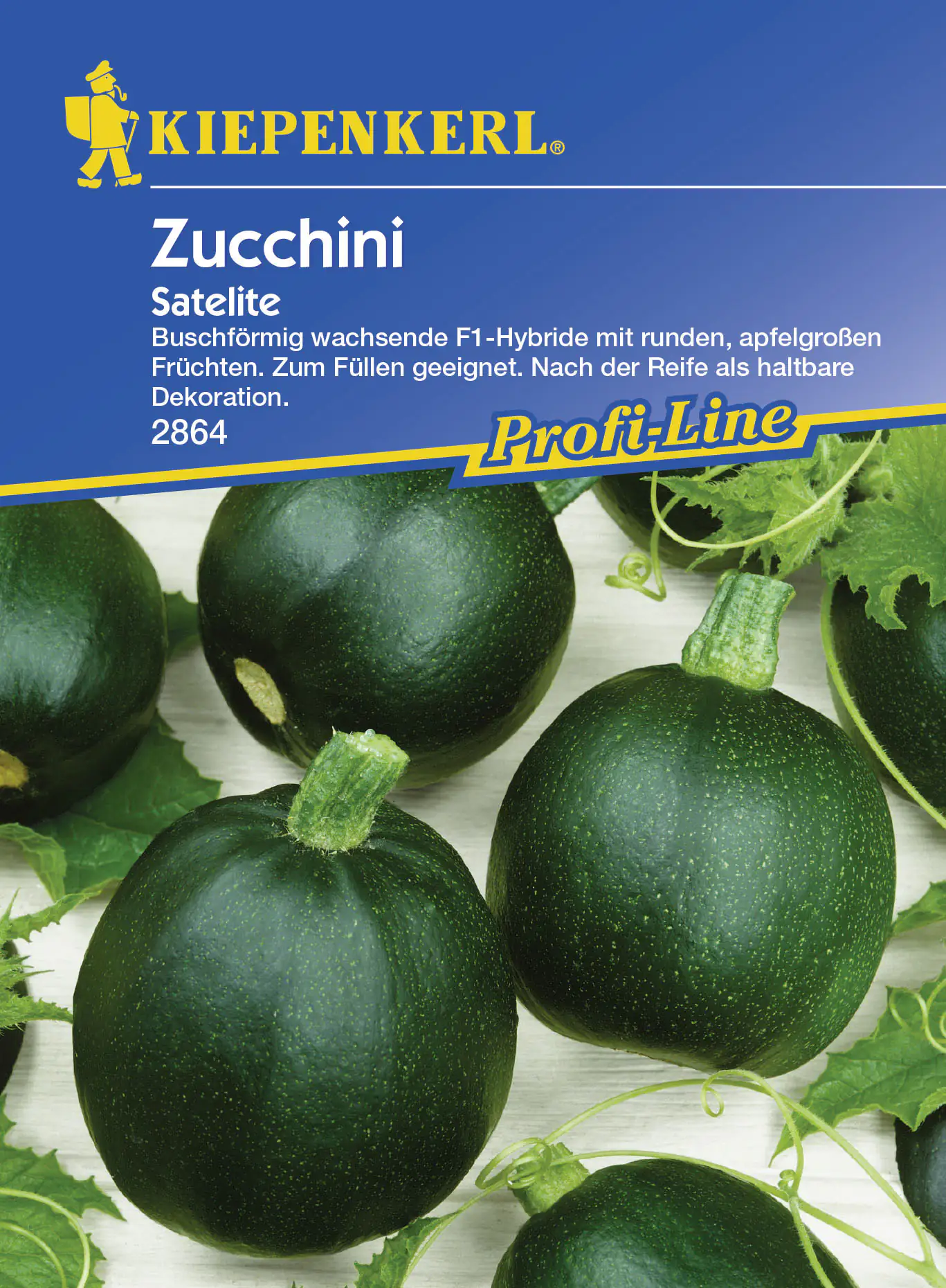 Kiepenkerl Zucchini Satelite Cucurbita pepo, Inhalt: 5 Korn