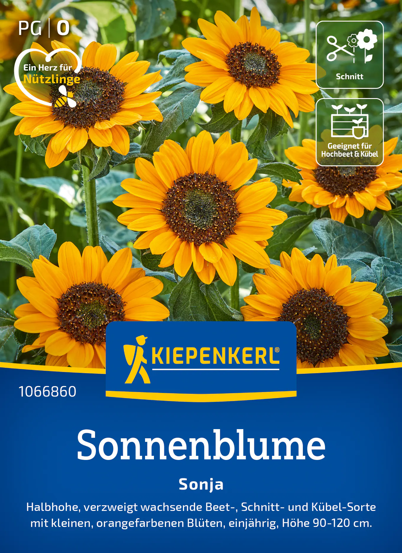 Kiepenkerl Saatgut Sonnenblume Sonja für ca. 25 Pflanzen
