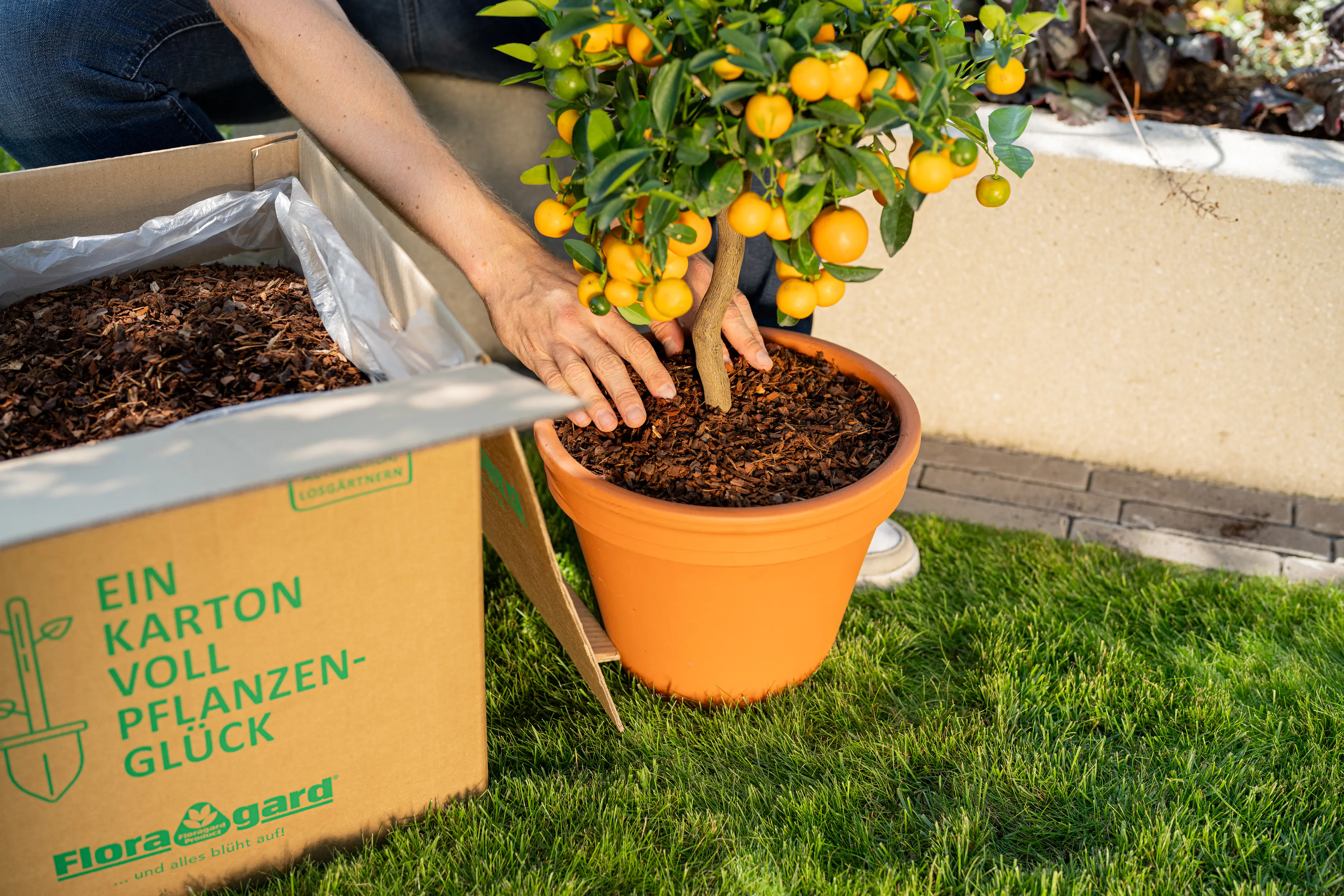 Floragard Pinienrinde fein 2-8 mm in der Box 60 L Floragard Pinienrinde fein 2-8 mm in der Box 60 L