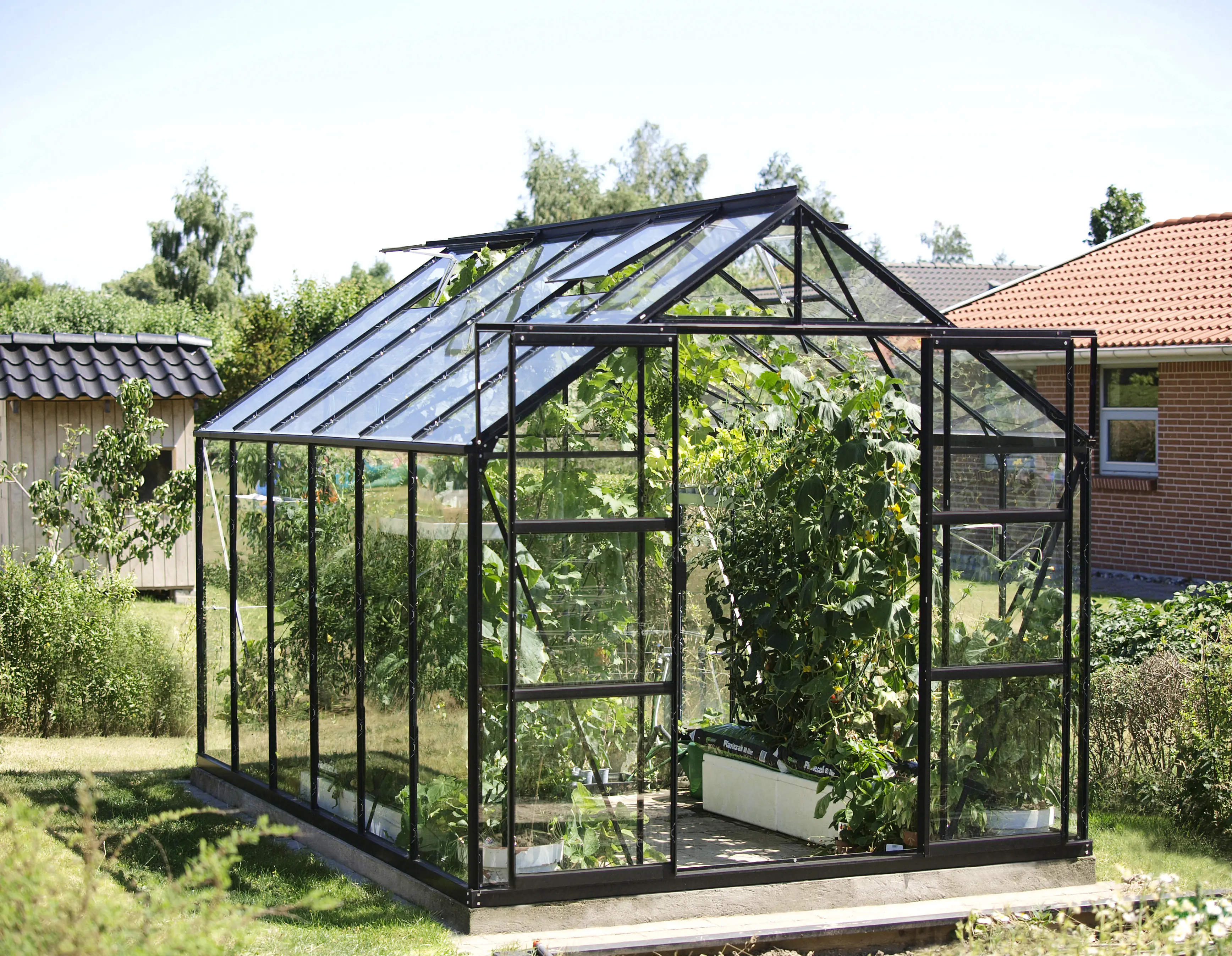 Vitavia Gewächshaus-Set Uranus 9900 ESG 3 mm schwarz 254 x 379 cm 