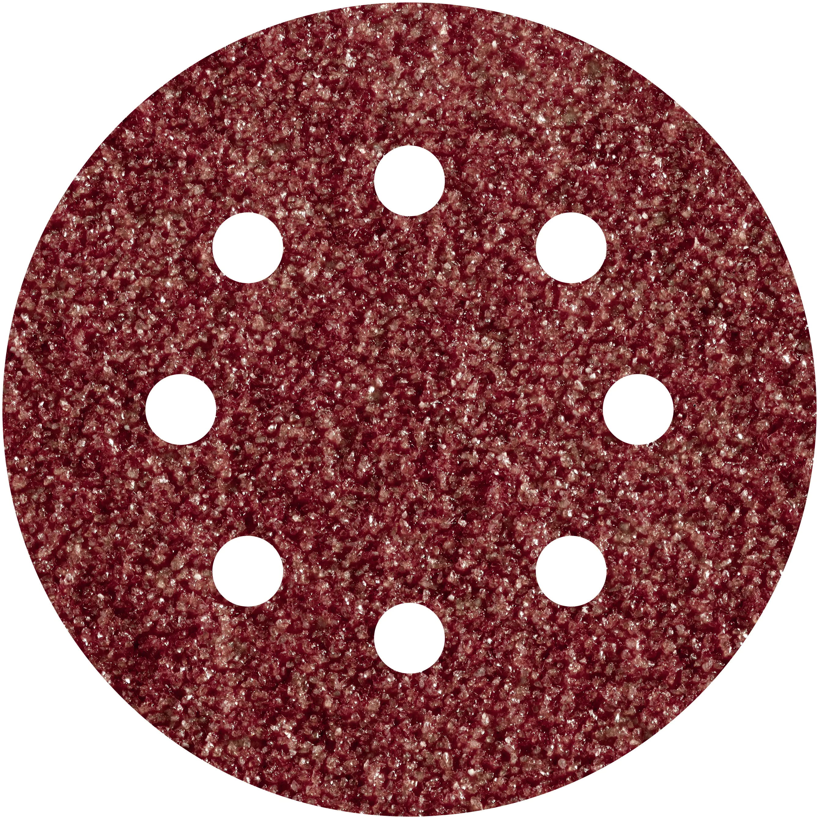 Wolfcraft Haftschleifscheiben K80 Ø 125 mm für Bosch Exzenterschleifer