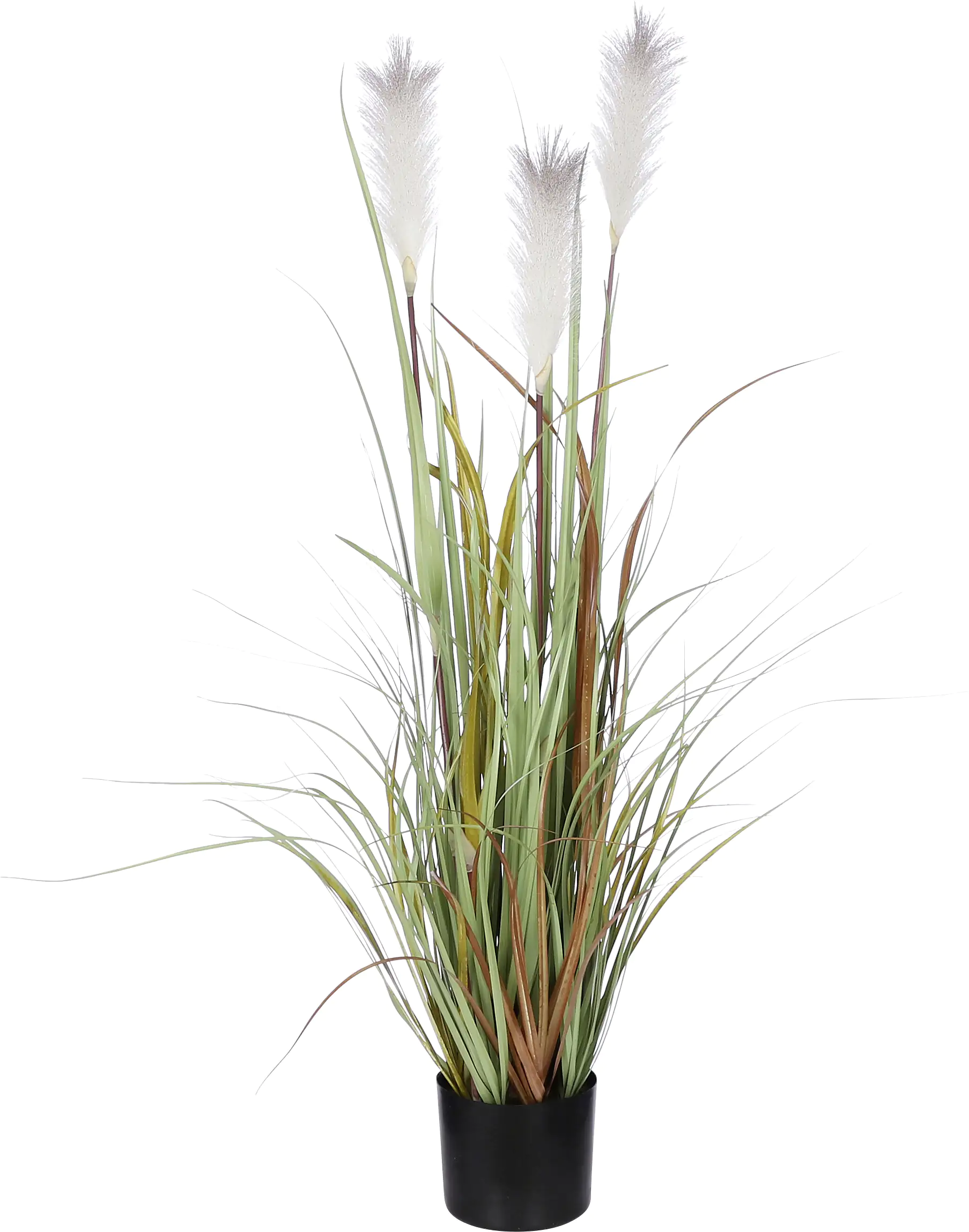 Mica Federgras in Topf braun 115 x 45 cm