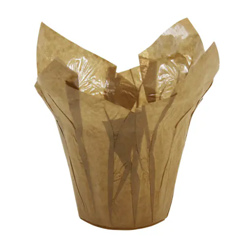 Südblume Pflanzübertopf-Folie Papier Ø 12 cm braun