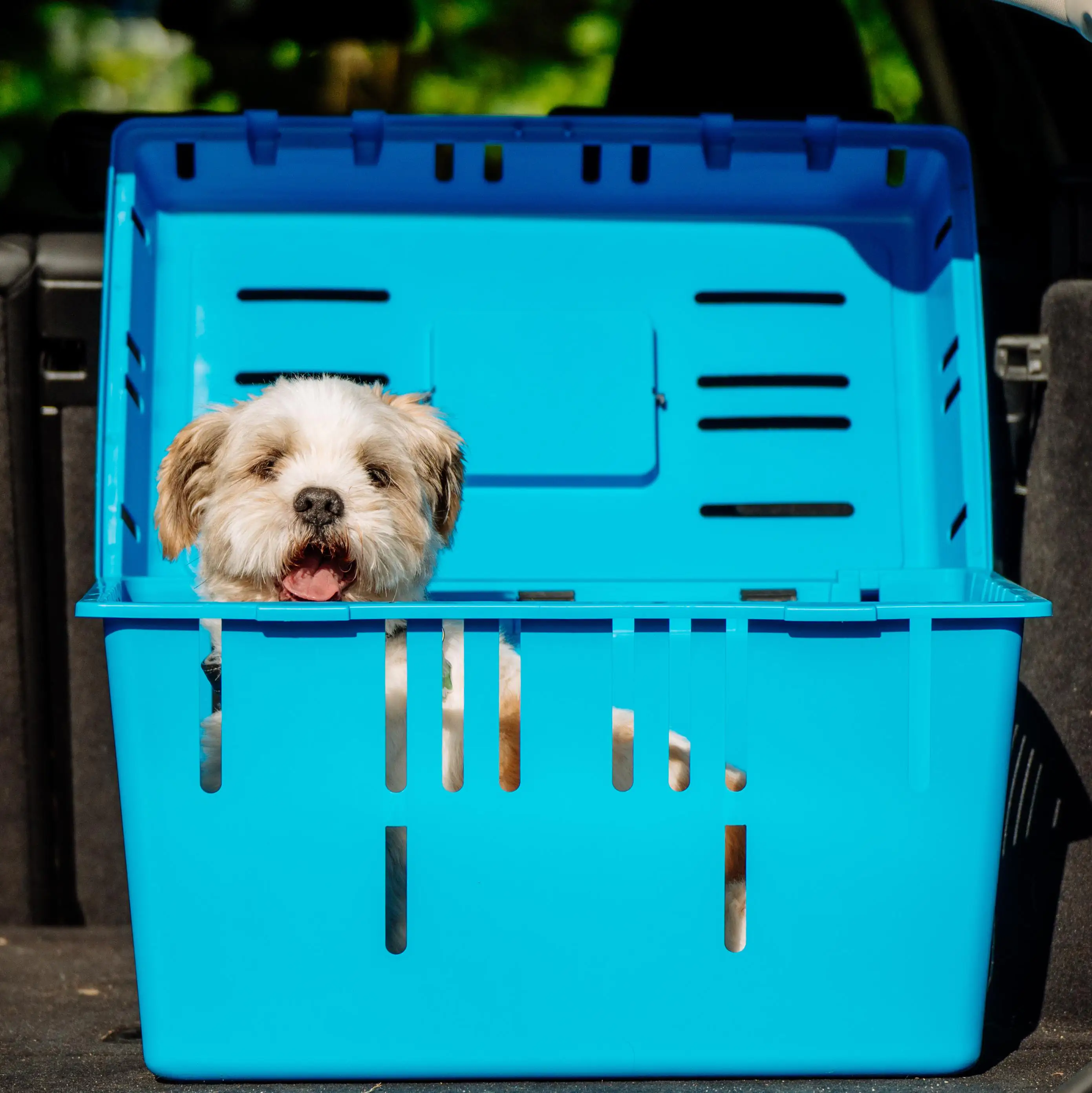 Nobby Transportbox Pet Caddy II Nobby Transportbox Pet Caddy II