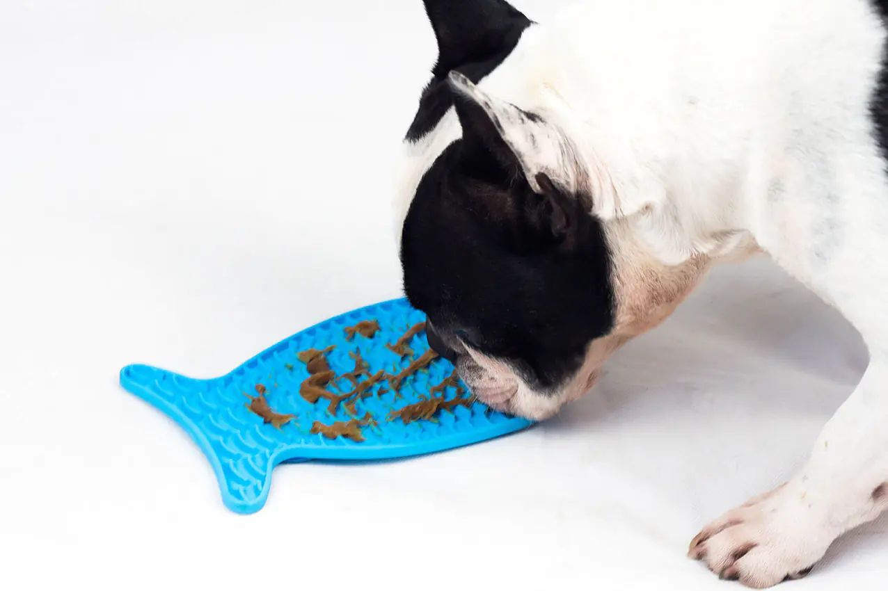 Nobby Leckmatte Silikon Snack-Matte Fish 23 x 13,5 cm blau