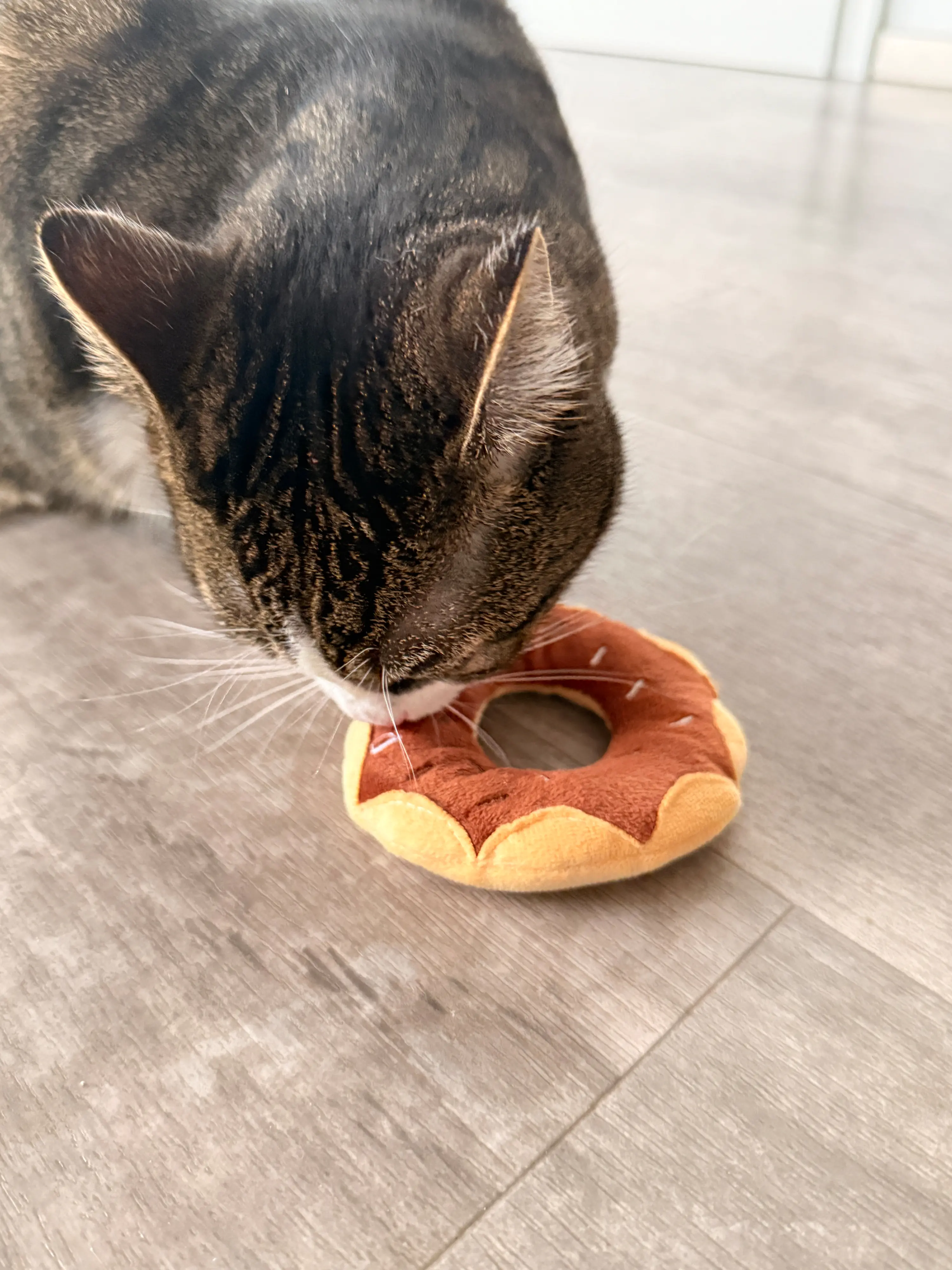 Aumüller Katzenspielzeug Donut Schoko Ø 11 x 3,5 cm braun