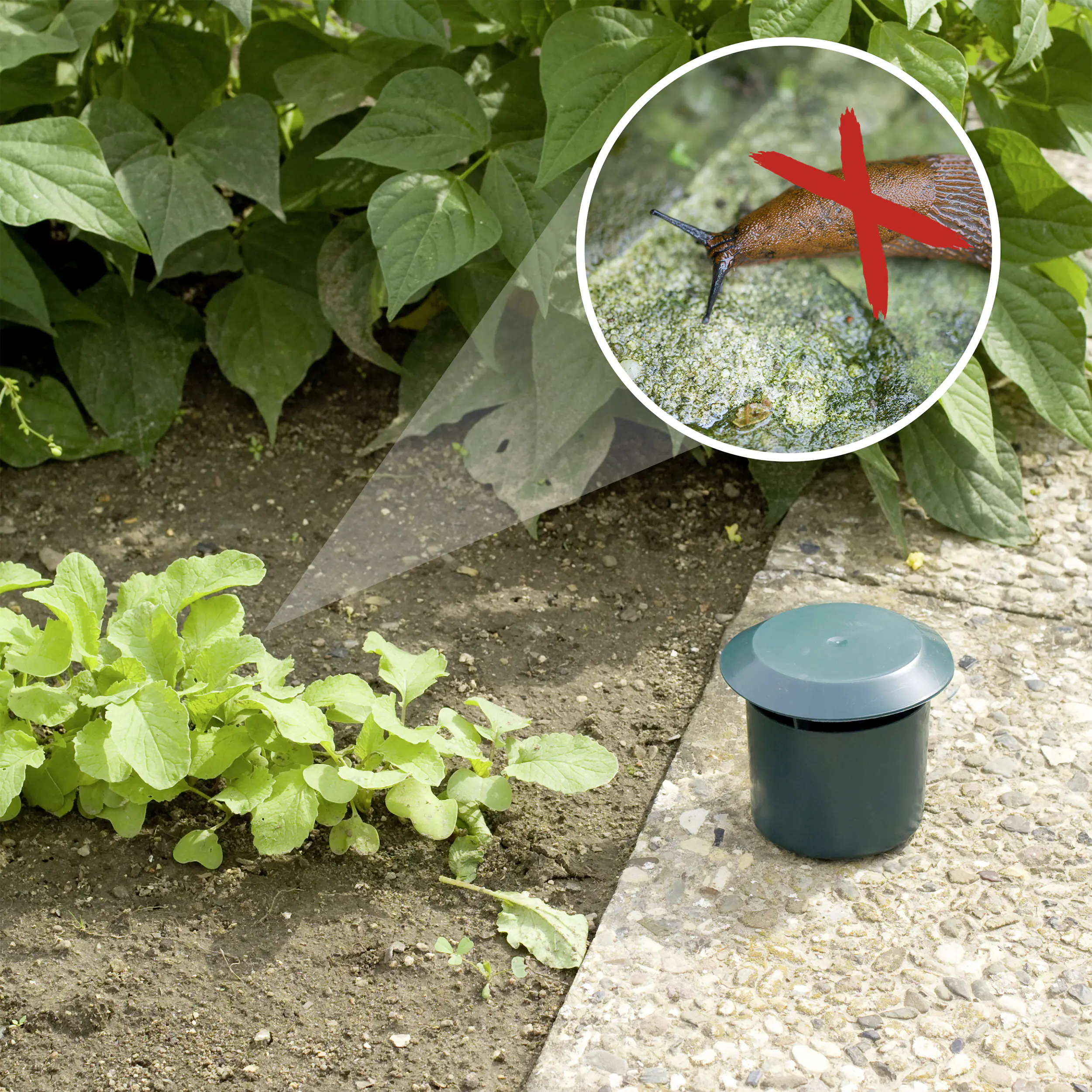 Gardigo Schneckenfalle 2er Set